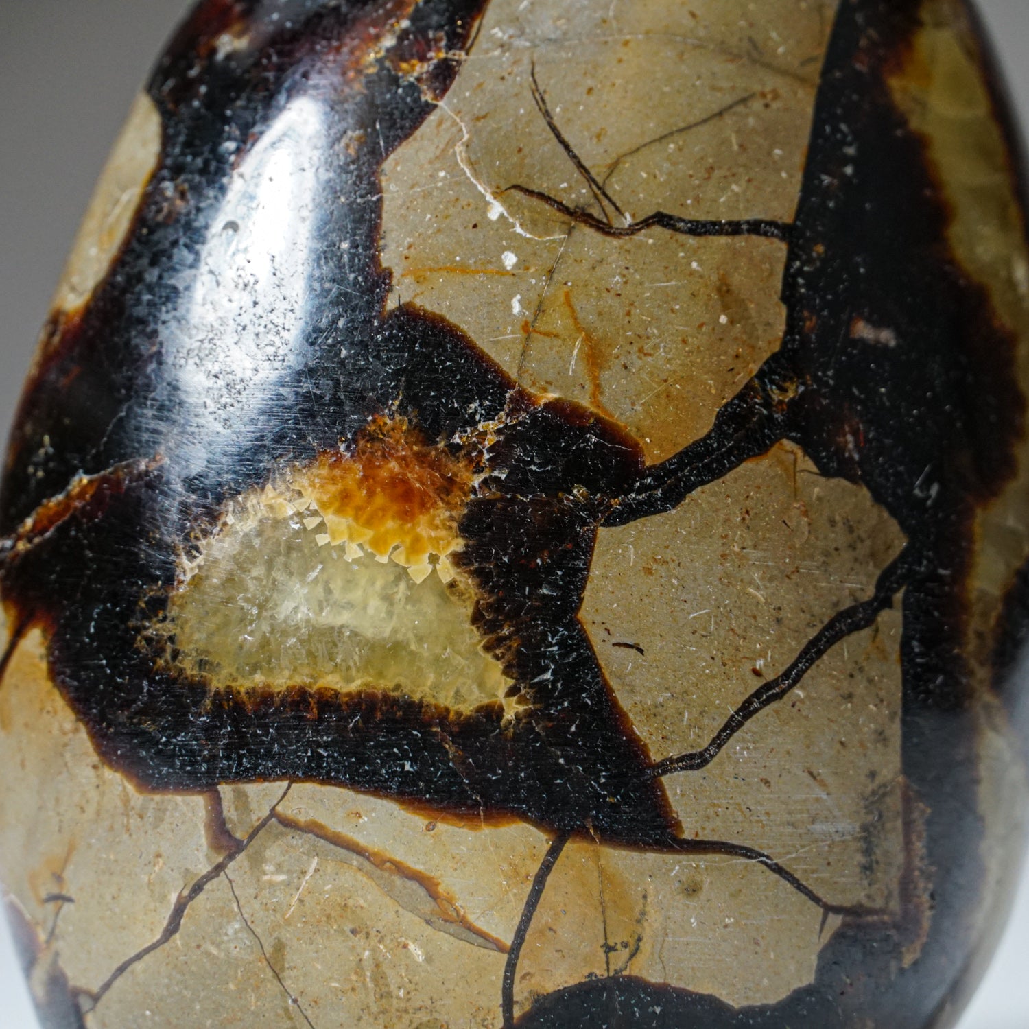 Polished Septarian Freeform from Madagascar (1 lbs)