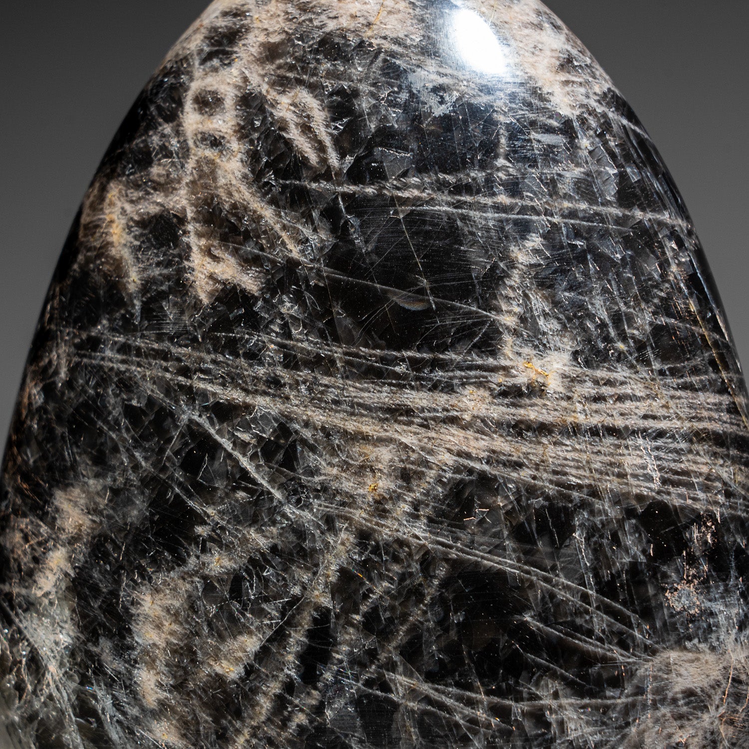 Genuine Polished Black Moonstone Freeform From Madagascar (2.5 lbs)