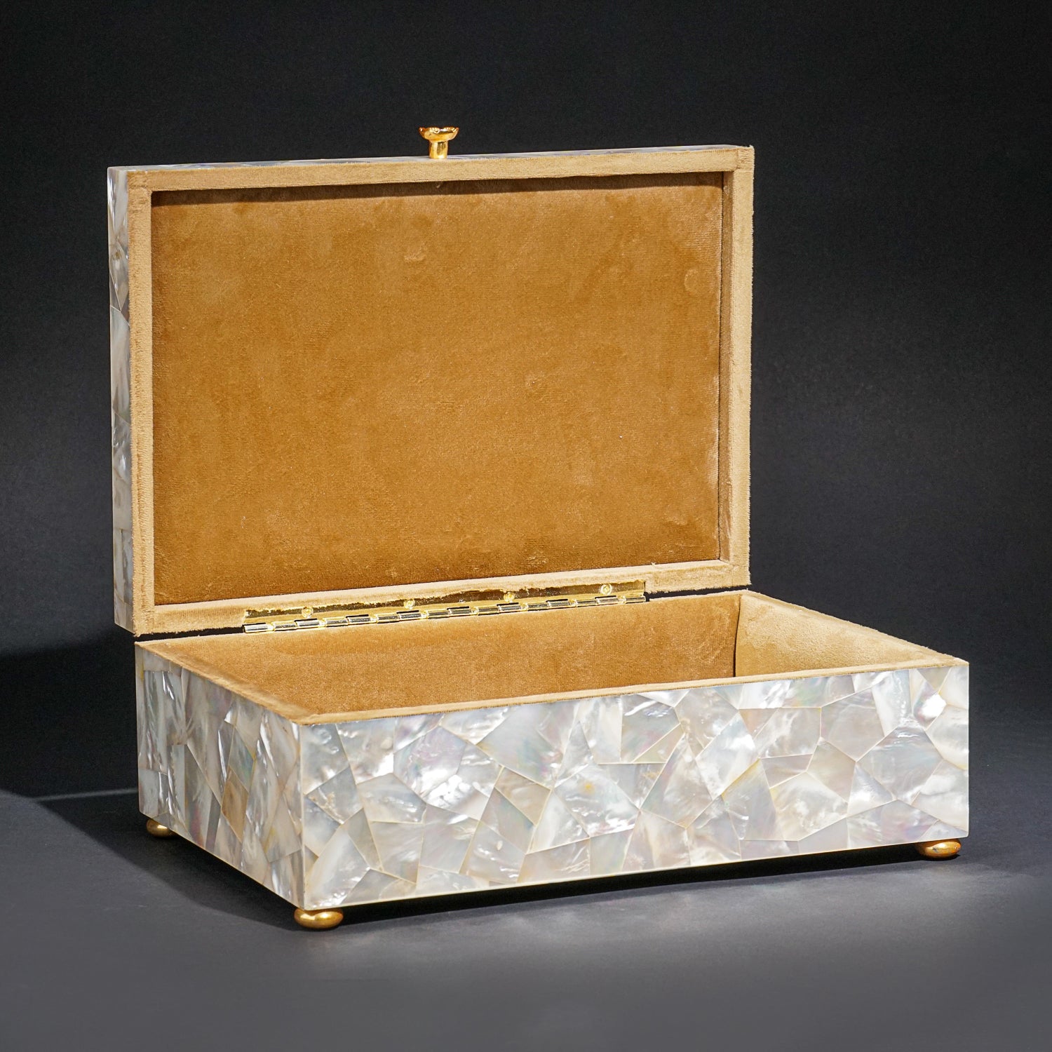 Genuine Large Mother of Pearl Jewelry Box (9.5 lbs)