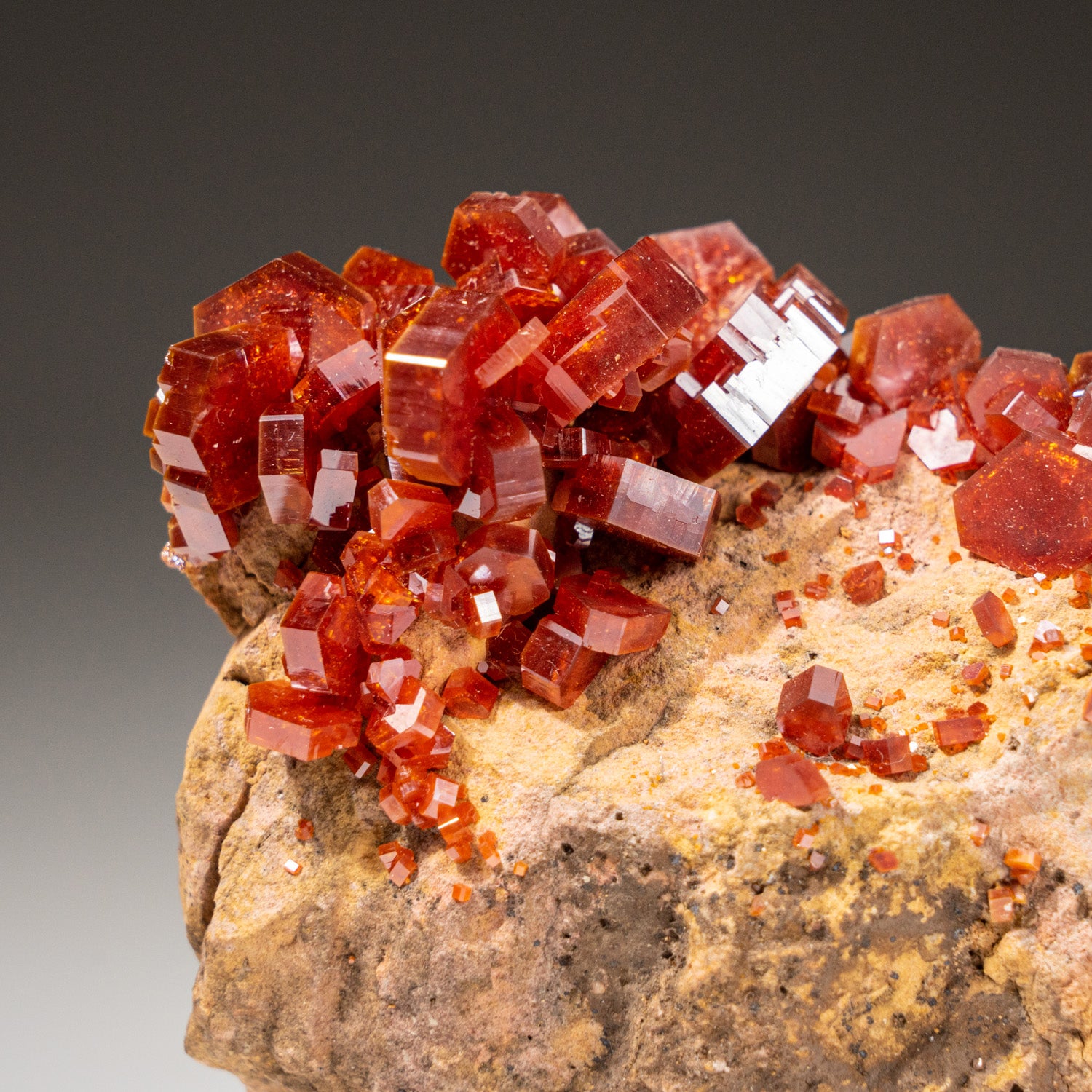 Genuine Vanadinite Crystal Cluster on Matrix from Morocco (202.9 grams)