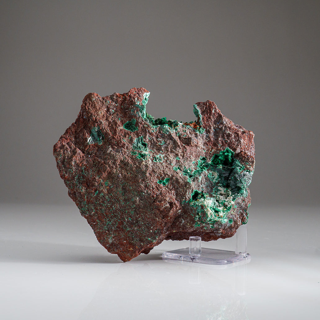 Malachite. 164.0 ct. selling Katanga, Congo