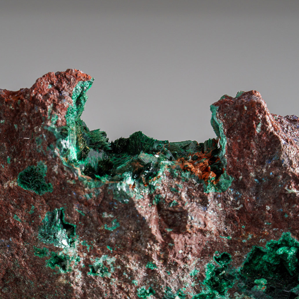 Malachite. 164.0 ct. selling Katanga, Congo