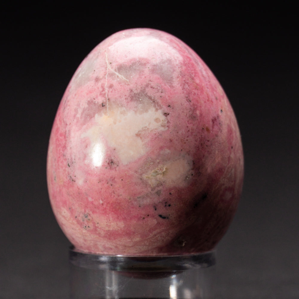 Polished Rhodonite Small Egg from Peru (83.6 grams)