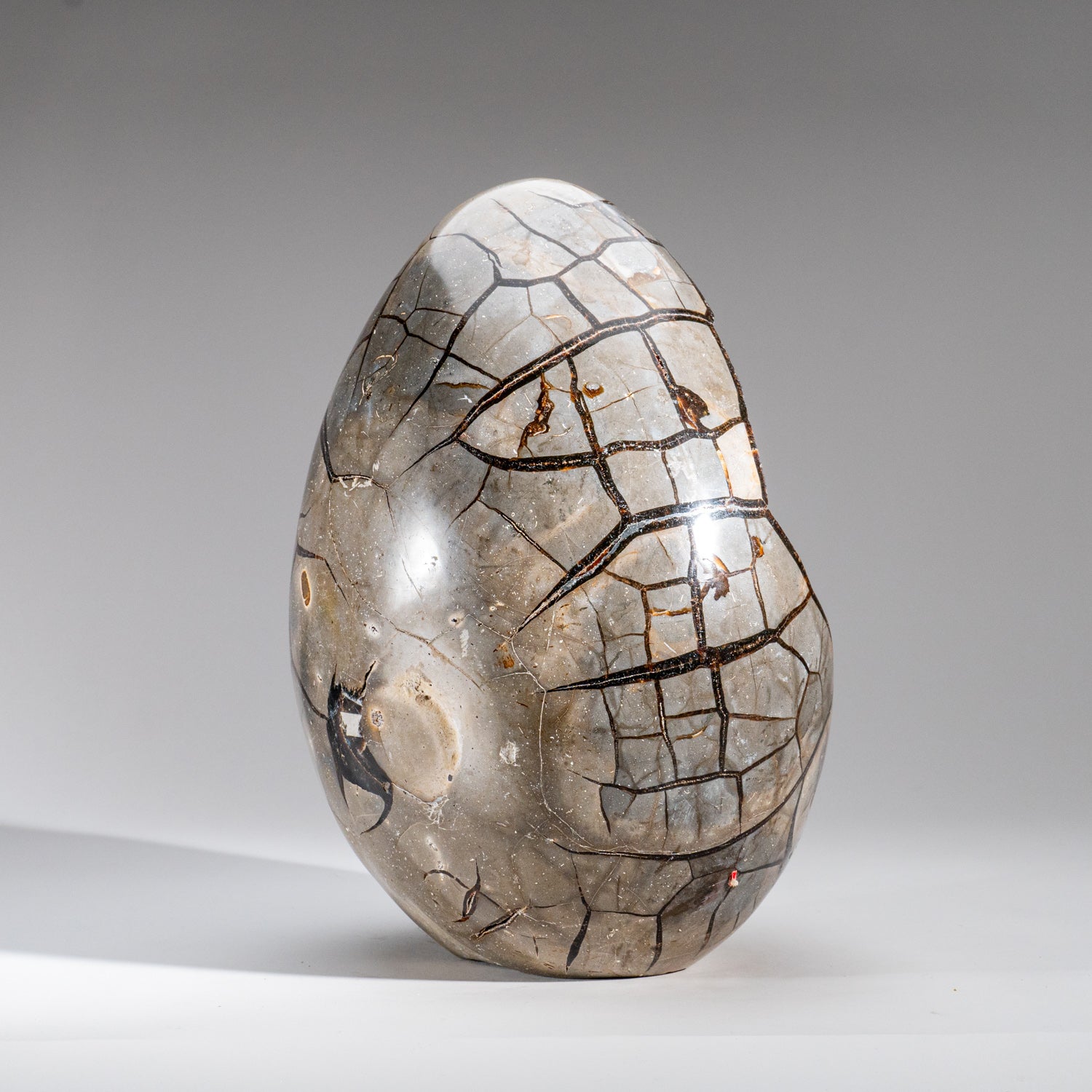 Polished Septarian Druzy Geode Egg from Madagascar (30 lbs)