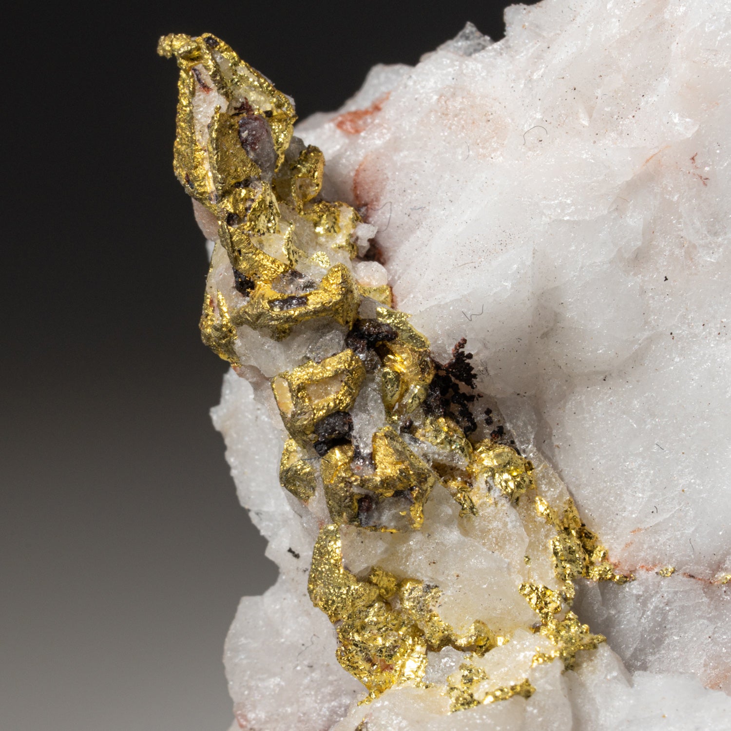 Gold on Quartz matrix from Guelmim-Oued Noun Region, Morocco