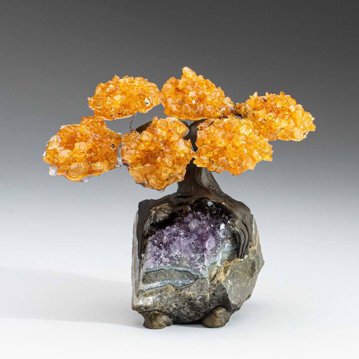 Small Citrine Clustered Gemstone Tree on Amethyst Matrix (The Money Tree)