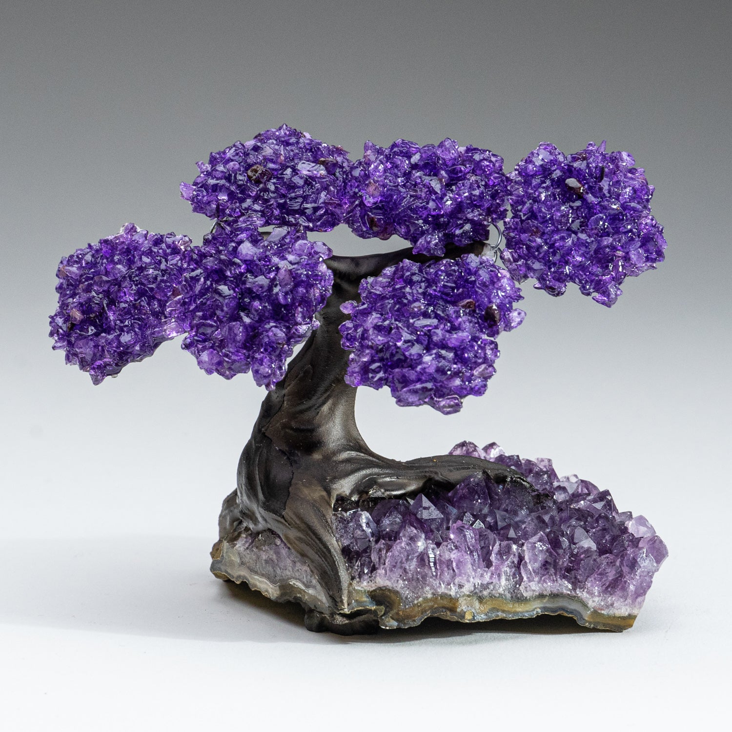 Small - Amethyst Clustered Gemstone Tree on Amethyst Matrix (The Protection Tree)