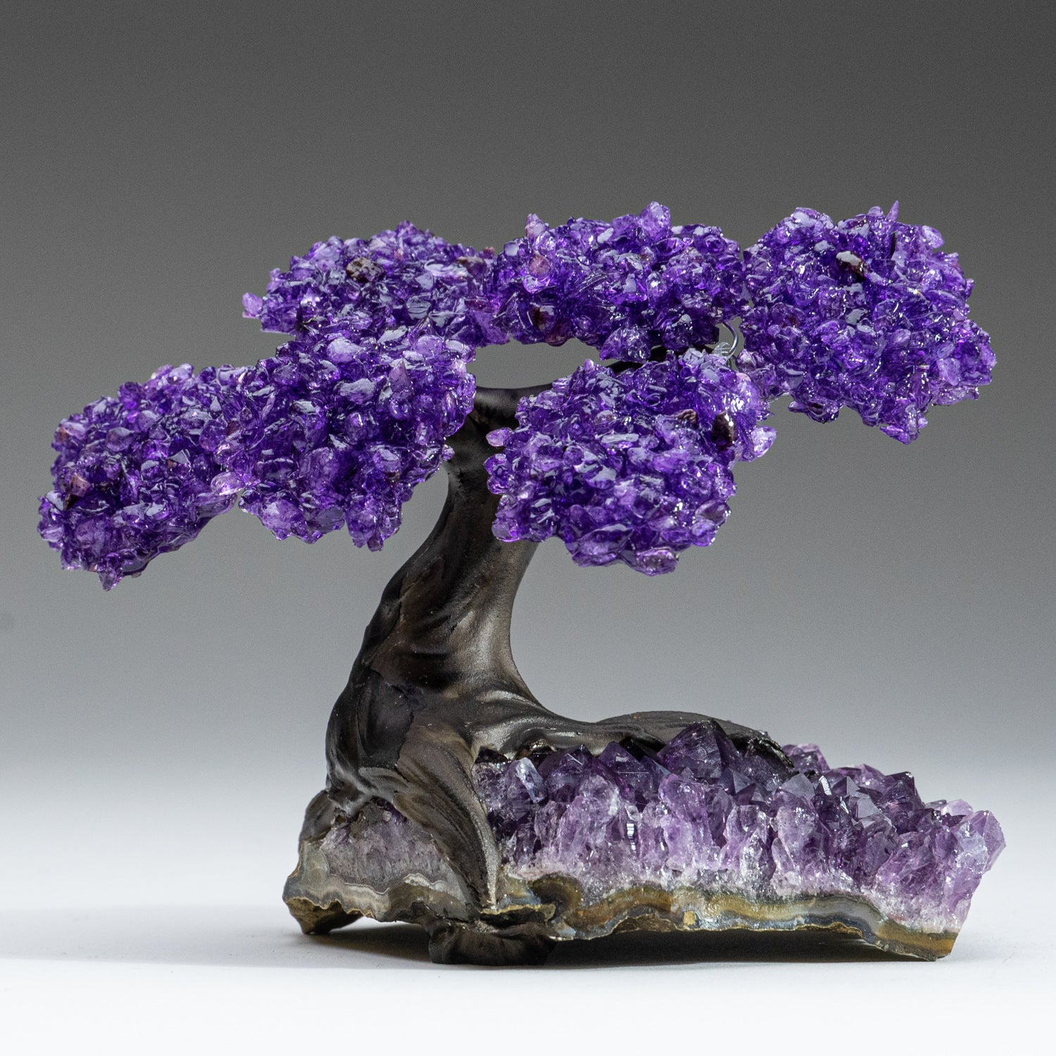 Small - Amethyst Clustered Gemstone Tree on Amethyst Matrix (The Protection Tree)