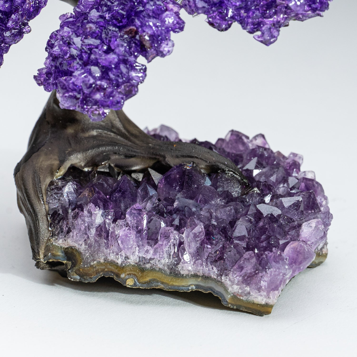 Small - Amethyst Clustered Gemstone Tree on Amethyst Matrix (The Protection Tree)