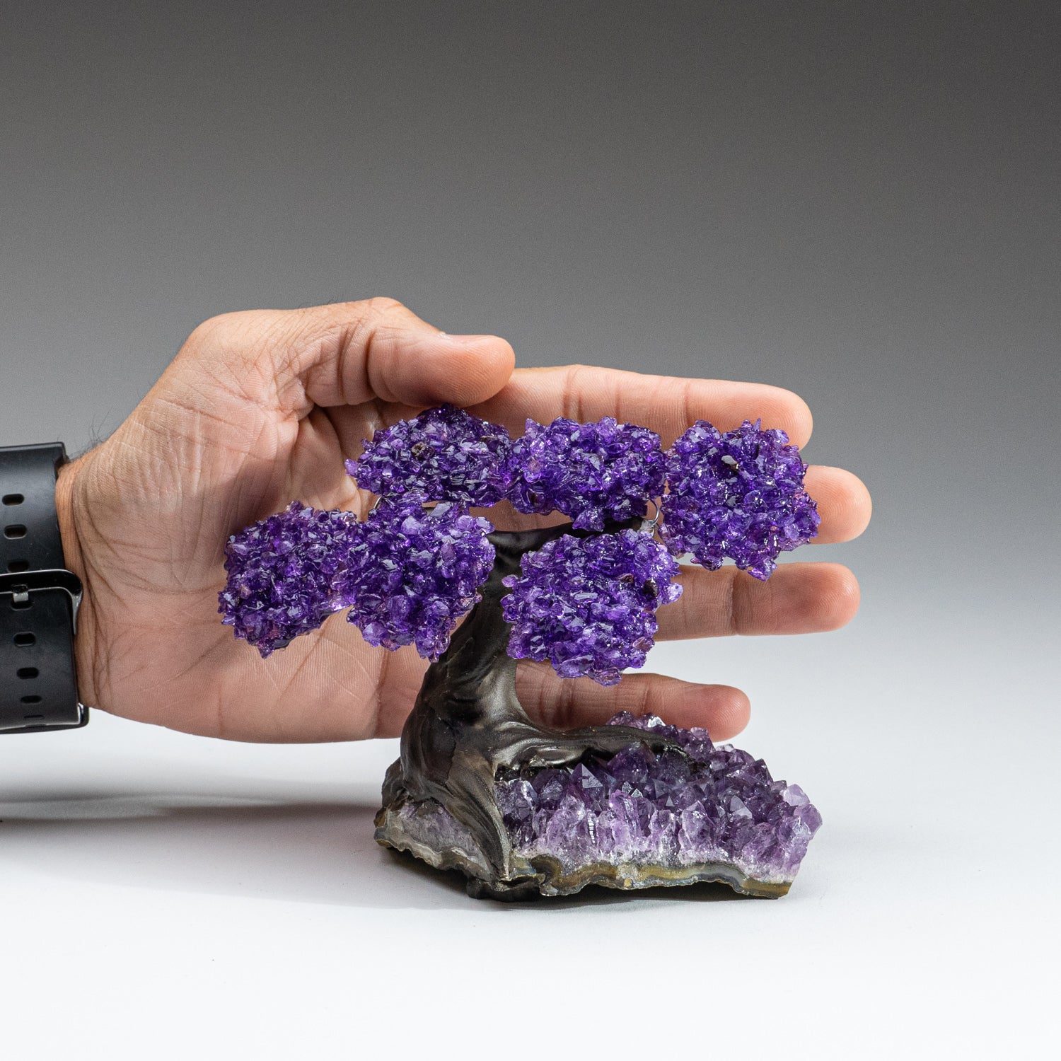 Small - Amethyst Clustered Gemstone Tree on Amethyst Matrix (The Protection Tree)