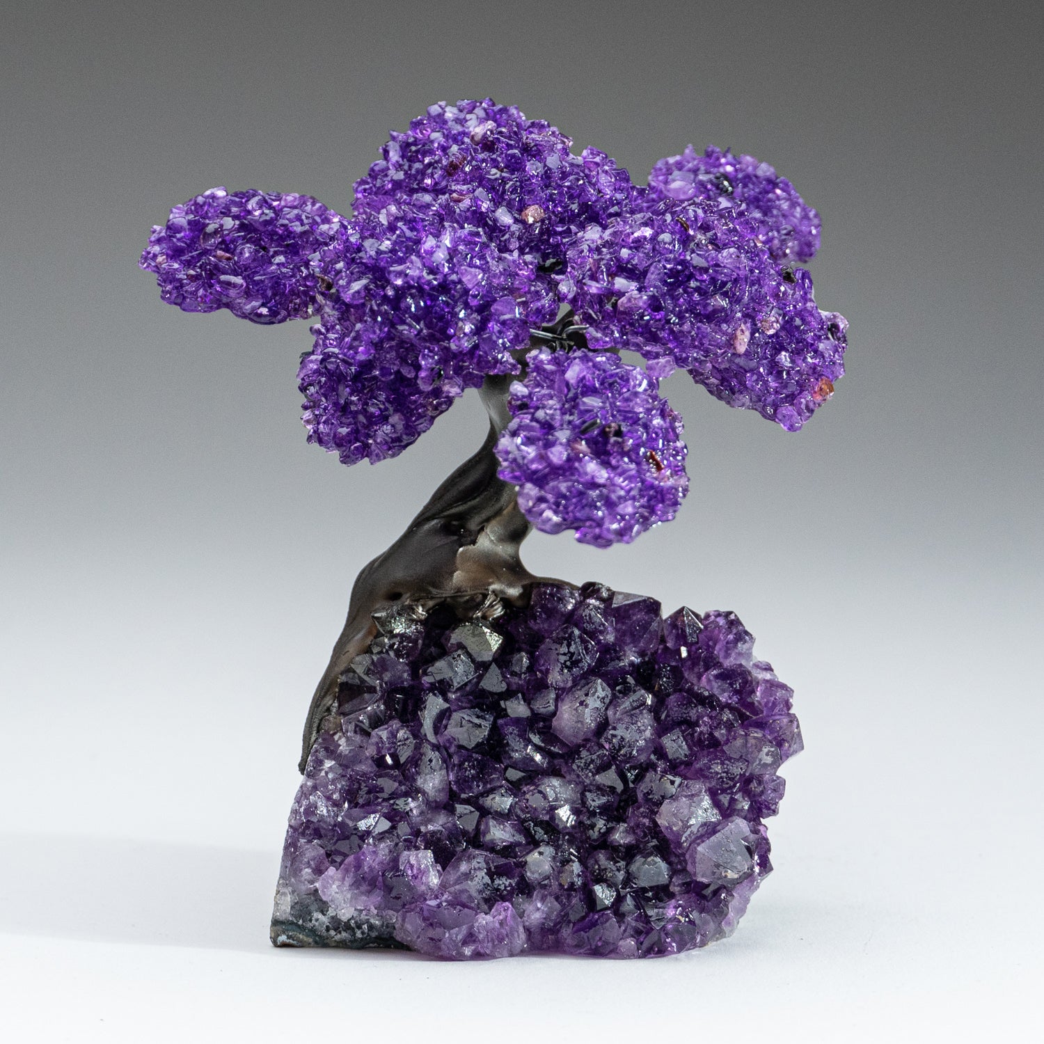 Medium - Amethyst Clustered Gemstone Tree on Amethyst Matrix (The Protection Tree)