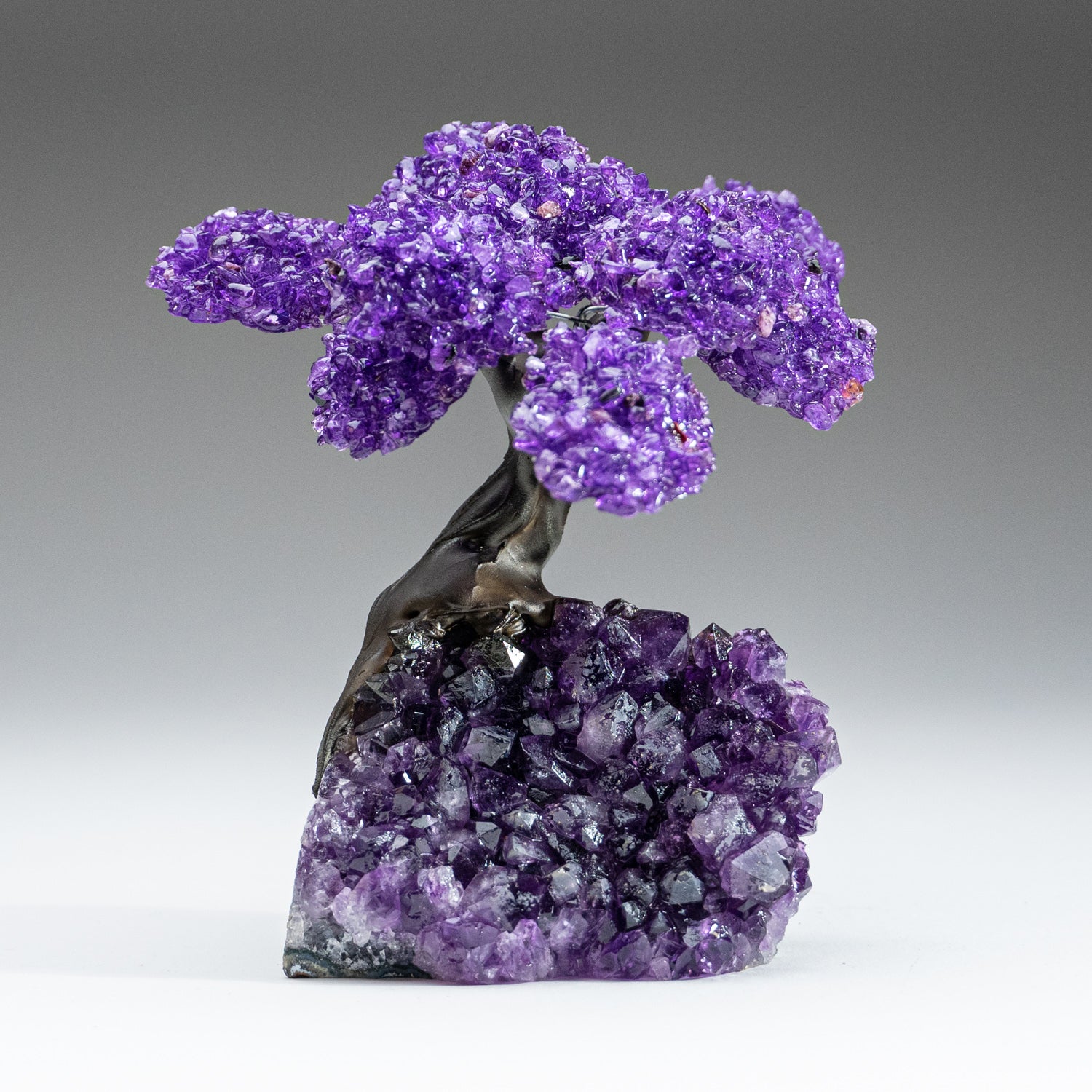 Medium - Amethyst Clustered Gemstone Tree on Amethyst Matrix (The Protection Tree)