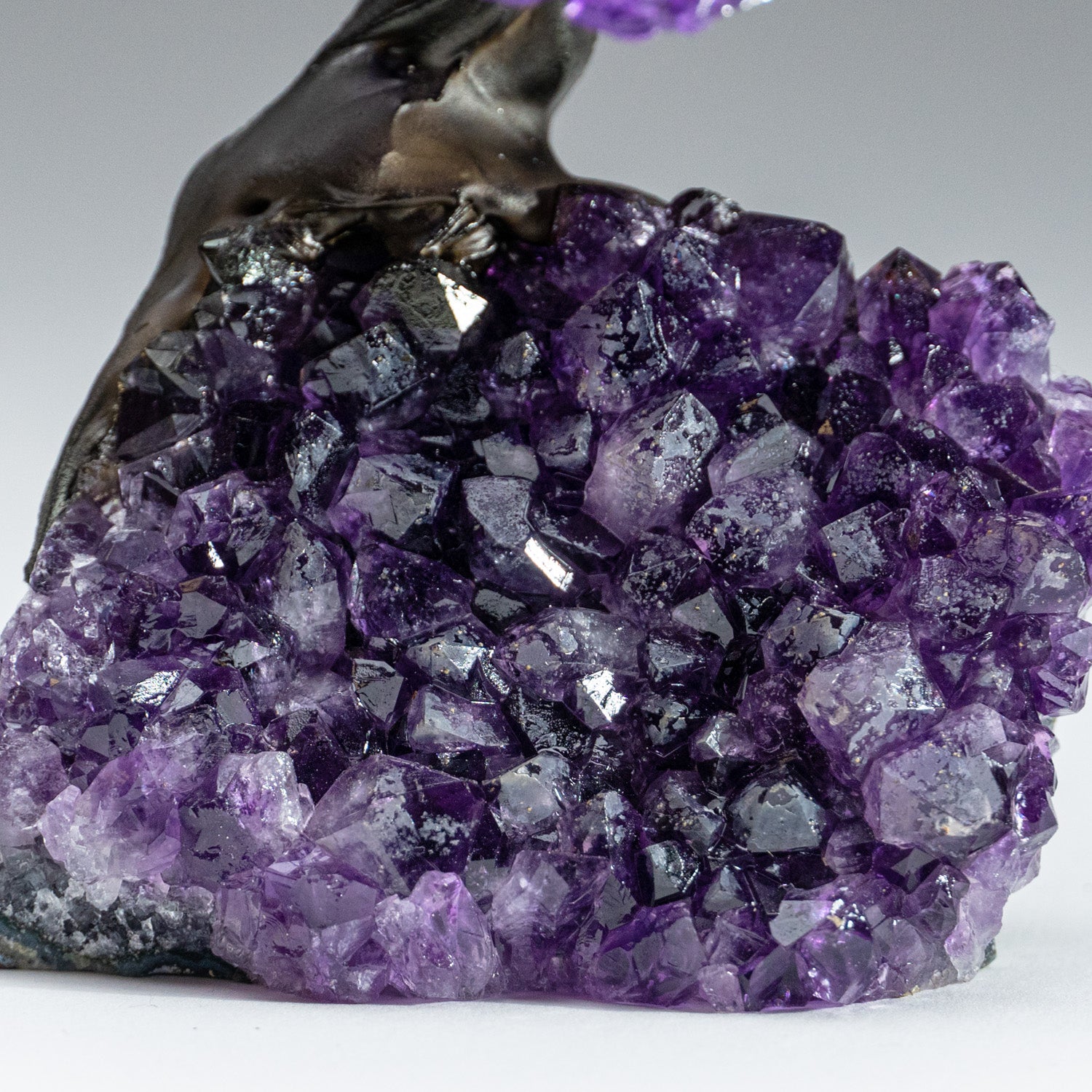 Medium - Amethyst Clustered Gemstone Tree on Amethyst Matrix (The Protection Tree)