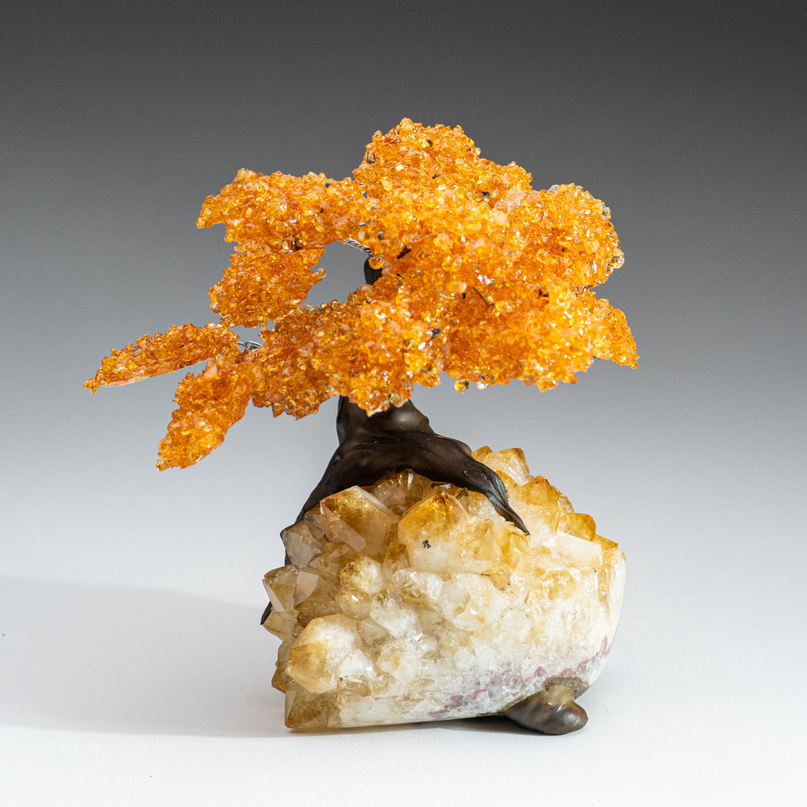 Clustered Gemstone Trees — Astro Gallery of Gems