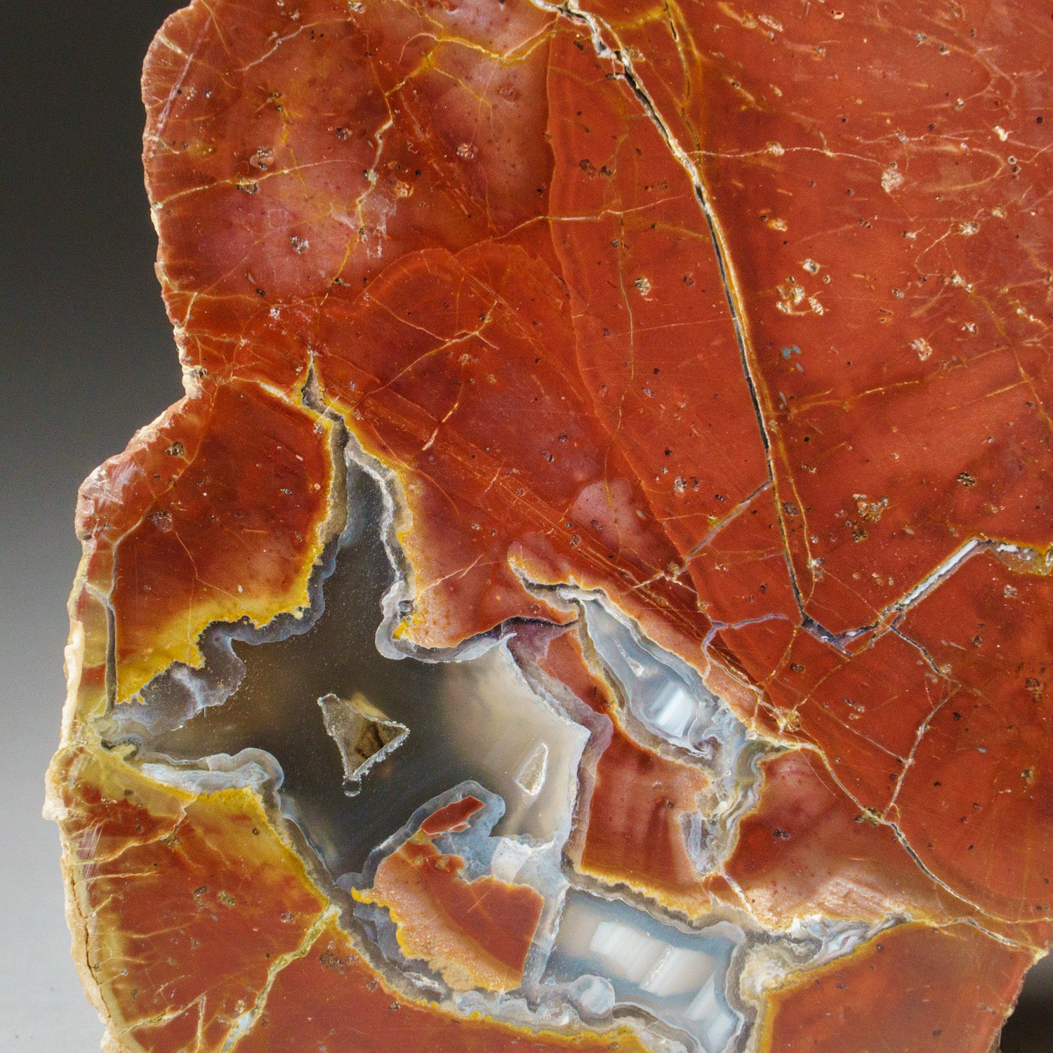 Natural Thunderegg Agate Bookends from Idaho (3 lbs)