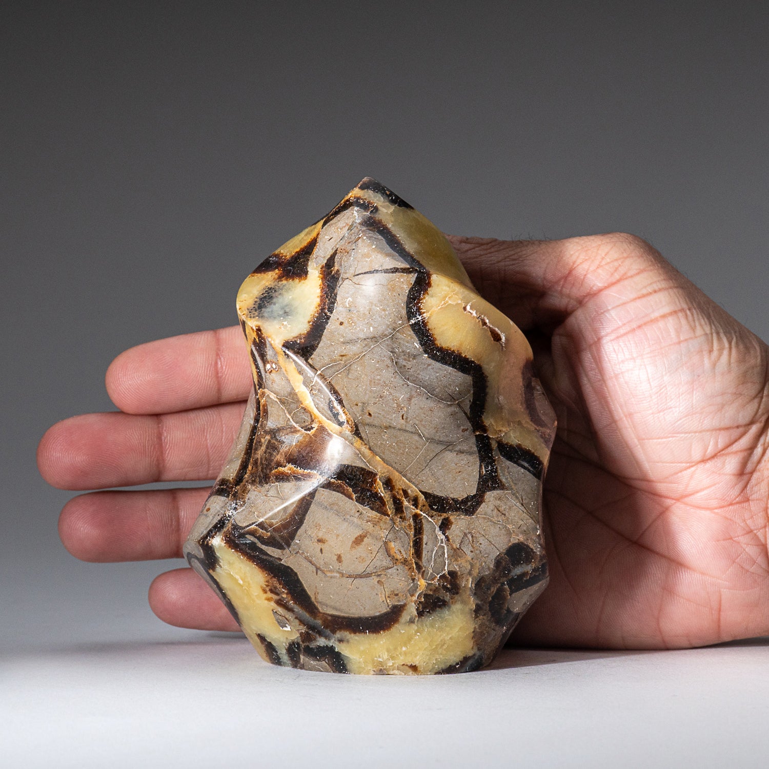 Polished Septarian Flame Freeform from Madagascar (1.7 lbs)