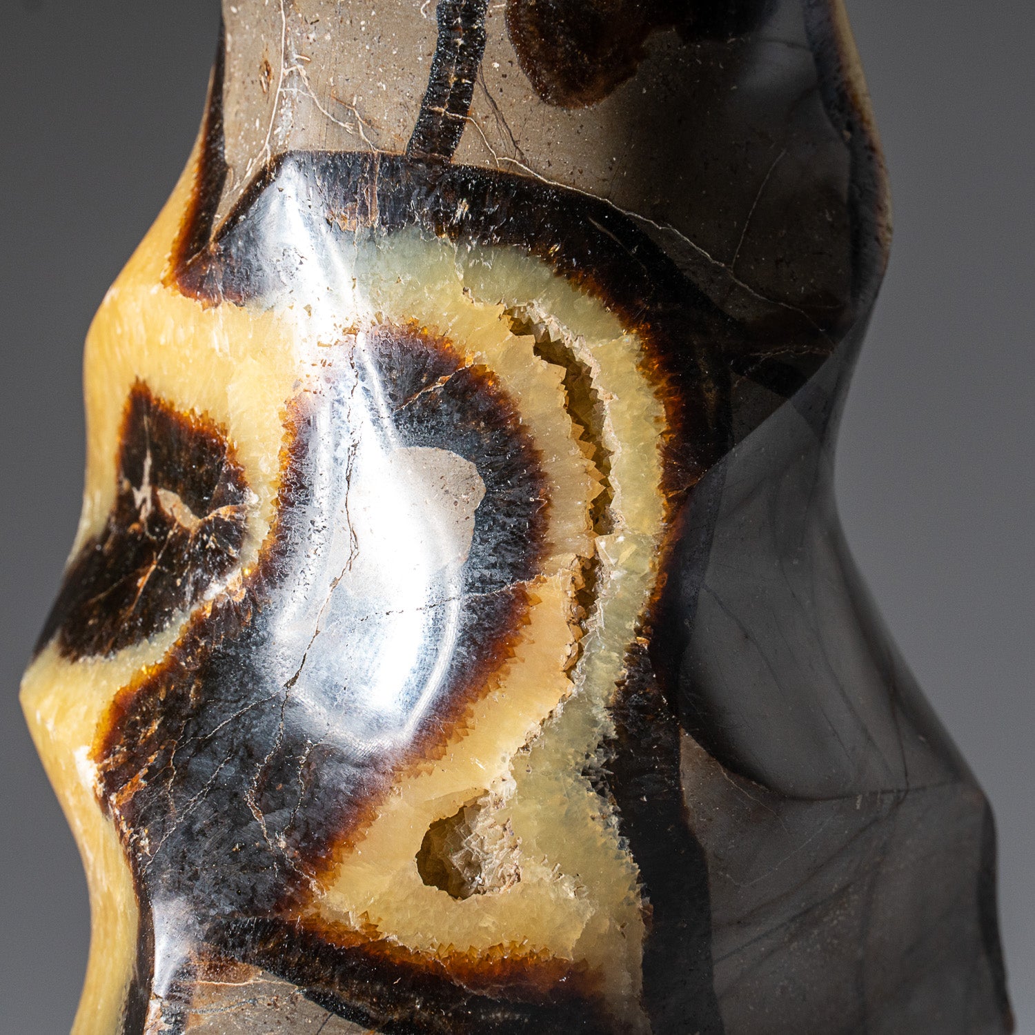 Polished Septarian Flame Freeform from Madagascar (3.5 lbs)