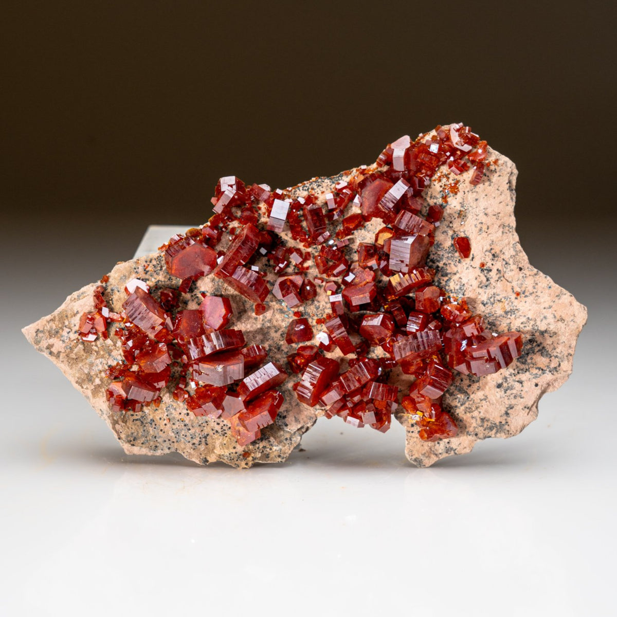 DSC05723_1200x1200.jpg?v=