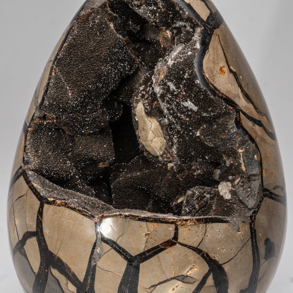 Septarian Druzy Egg from Madagascar (14.5 lbs)