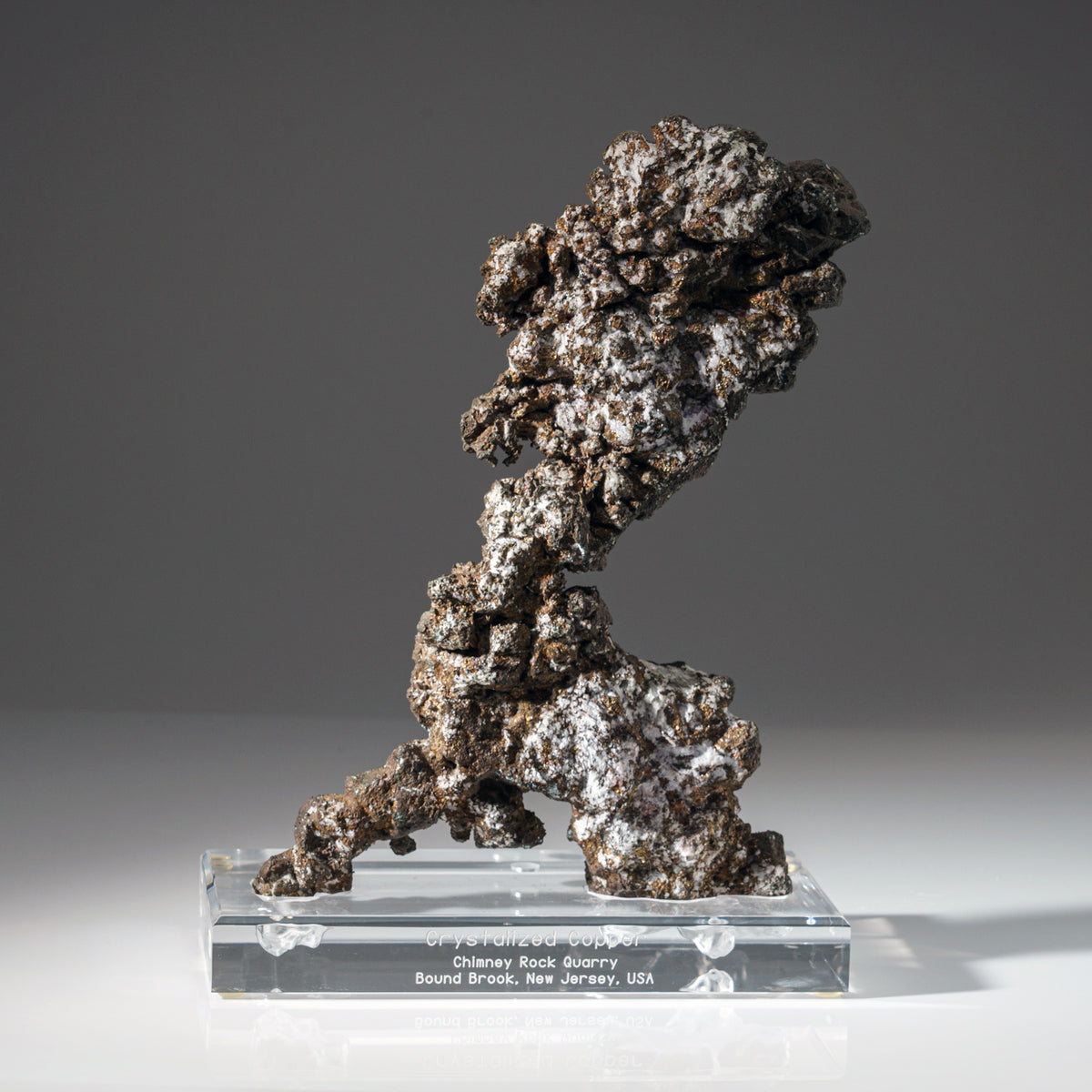 DSC06100_1200x1200.jpg?v= DSC06100_1200x1200.jpg?v=