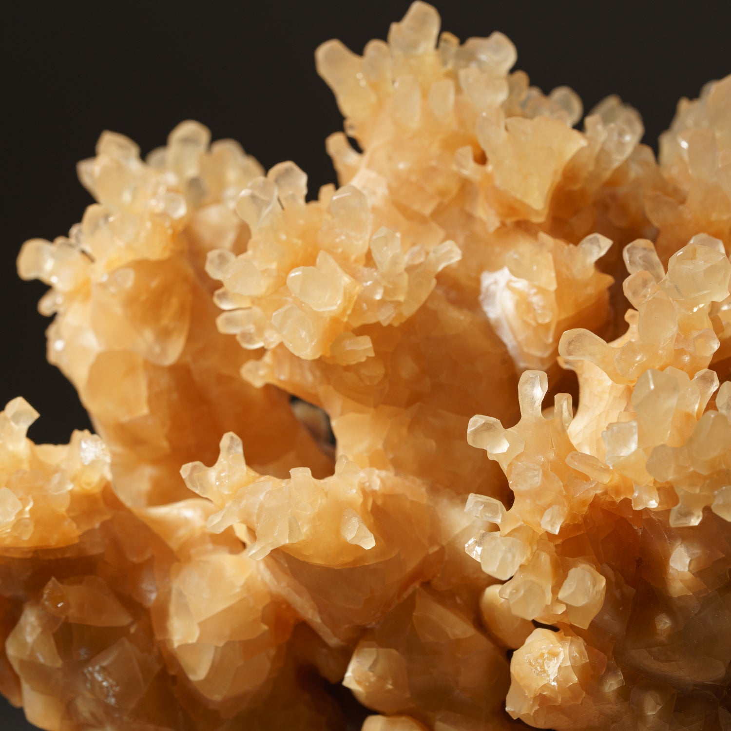 Golden Porcupine Calcite Cluster from Java, Indonesia
