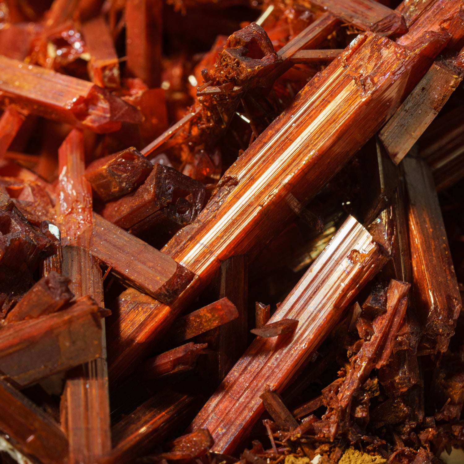 Crocoite From Red Lead Mine, Dundas, Tasmania, Australia