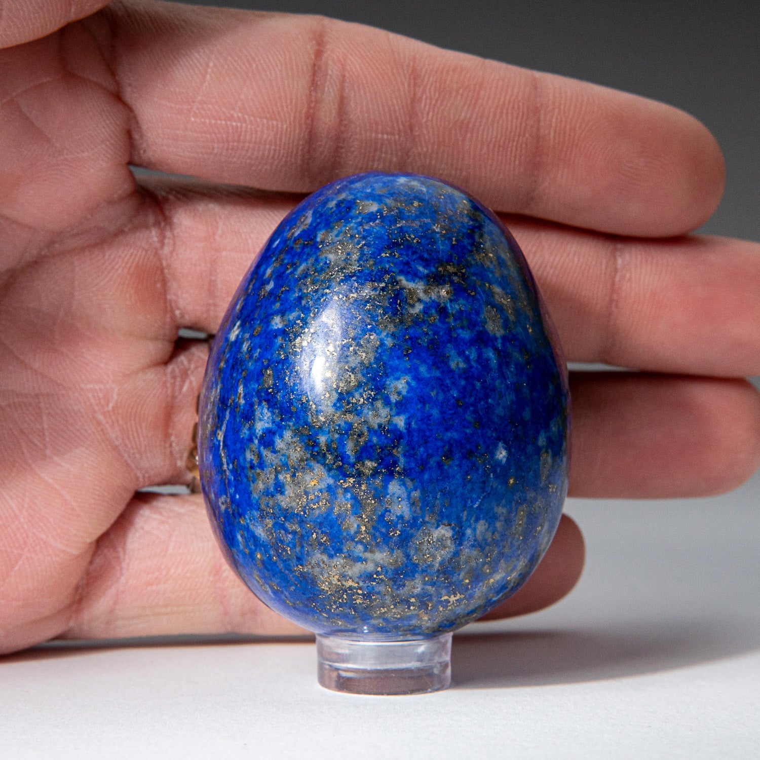 Genuine Polished Lapis Lazuli (2") Egg from Afghanistan