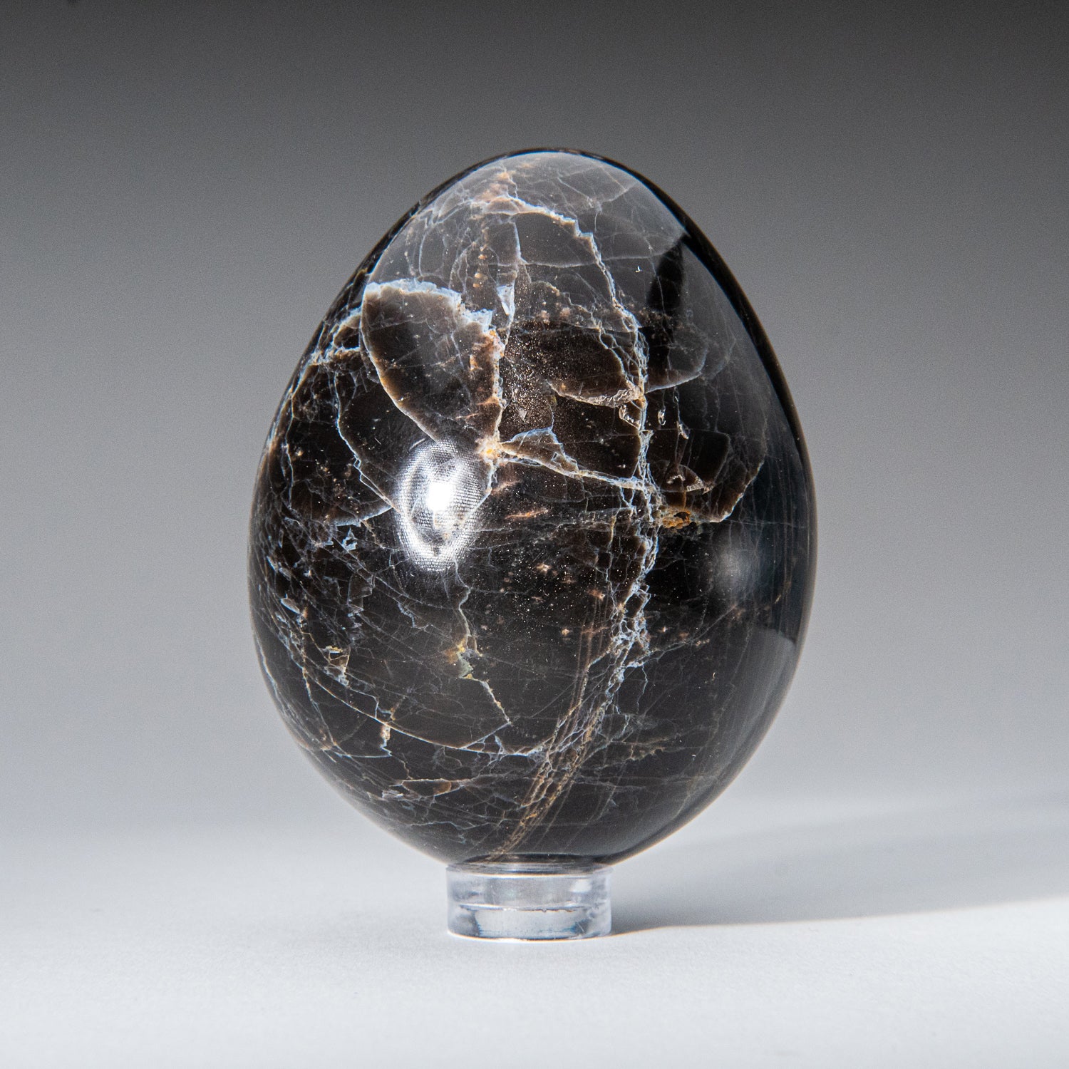 Genuine Polished Black Moonstone (2.25") Egg from Madagascar