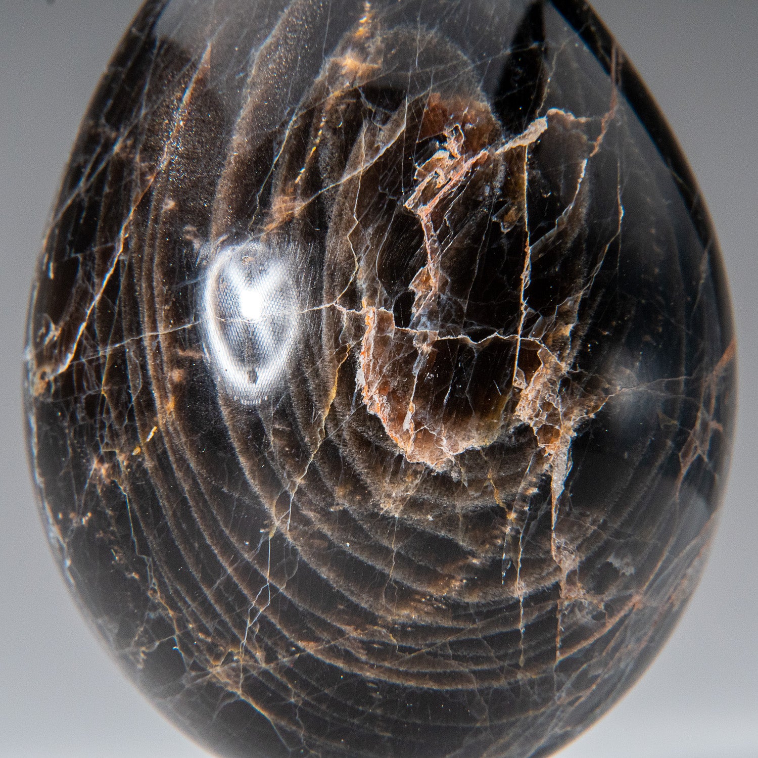 Genuine Polished Black Moonstone (2.25") Egg from Madagascar