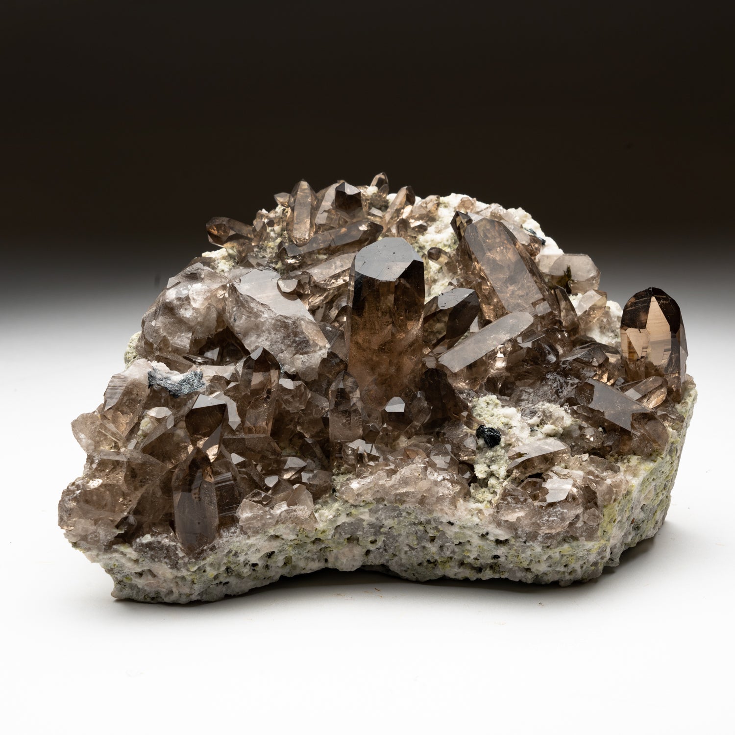 Smoky Quartz Crystals from St. Gotthard, Kanton Uri, Switzerland