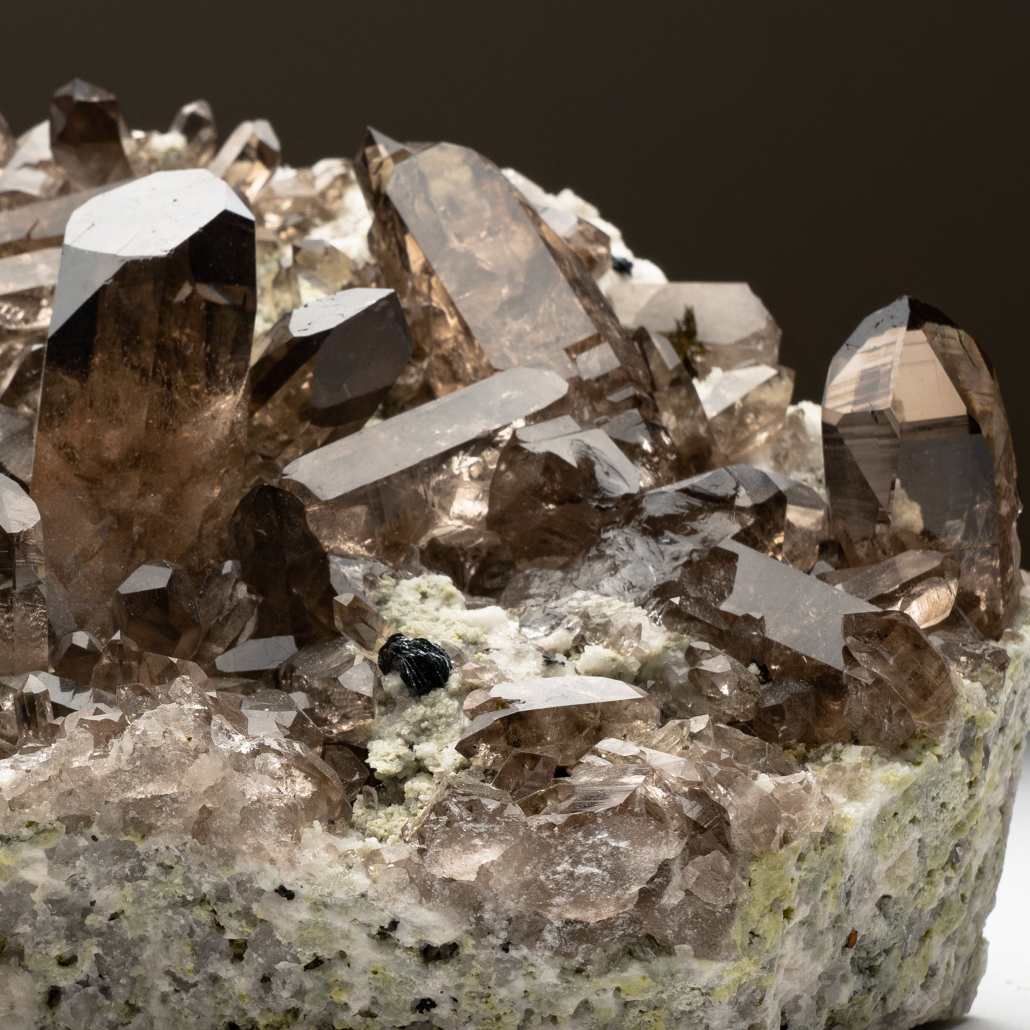 Smoky Quartz Crystals from St. Gotthard, Kanton Uri, Switzerland