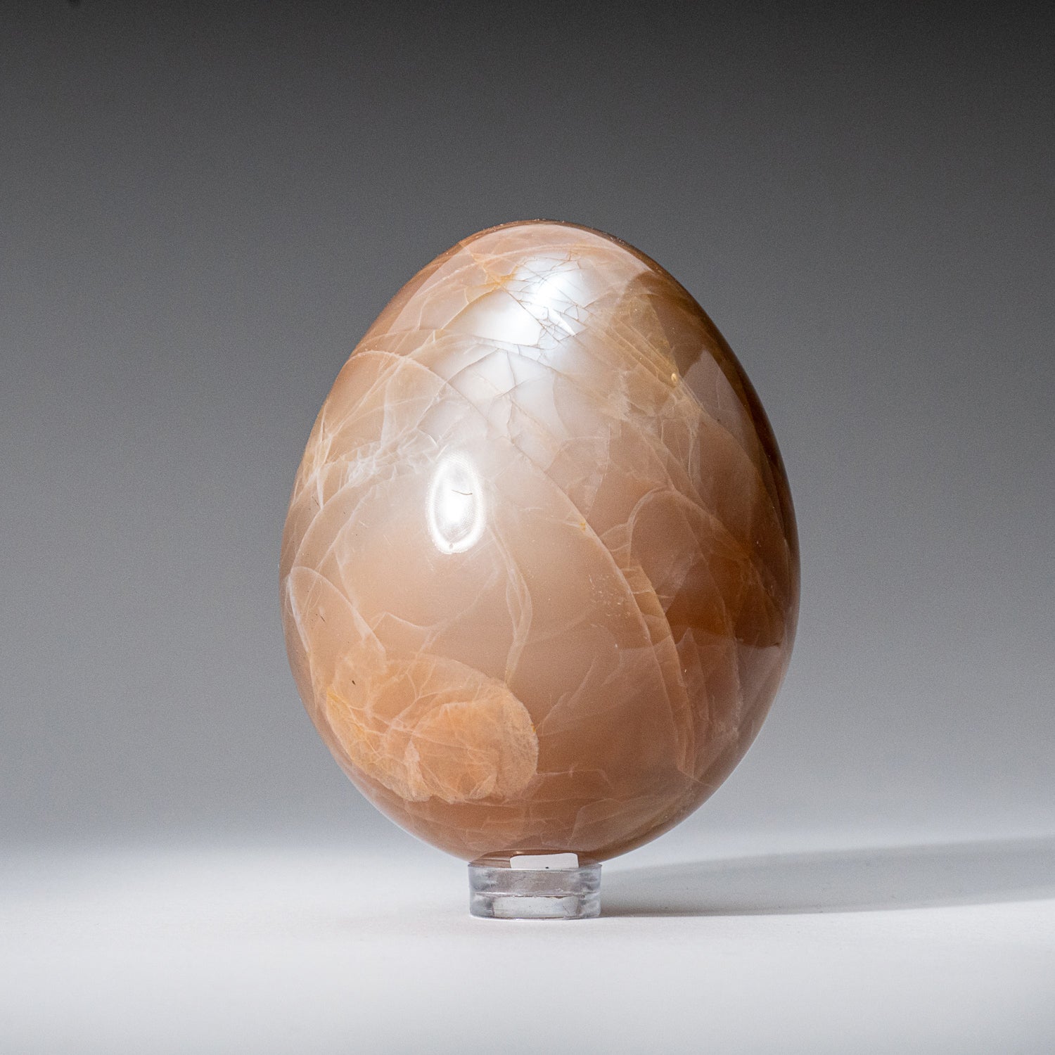 Genuine Polished Peach Moonstone (2.5") Egg from Madagascar