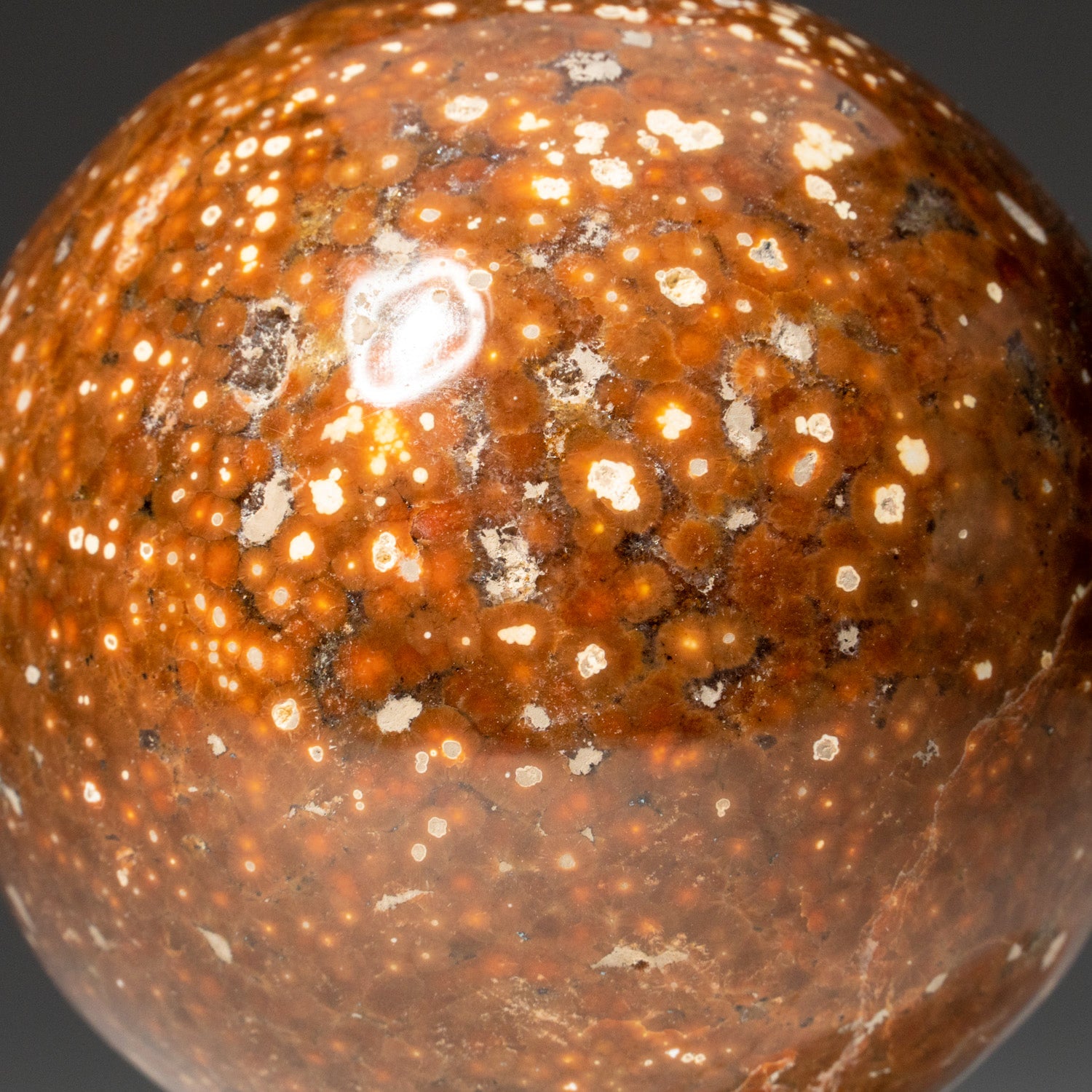 Genuine Polished Ocean Jasper Sphere (1.8 lbs)