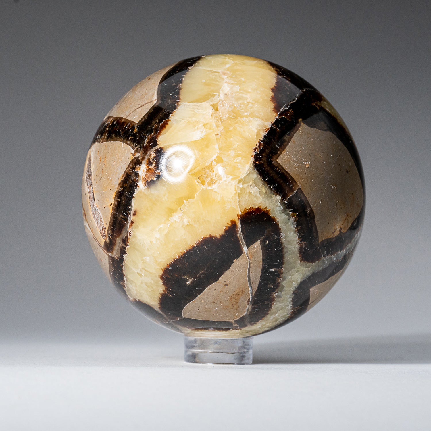 Genuine Polished Septarian (2") Sphere from Madagascar