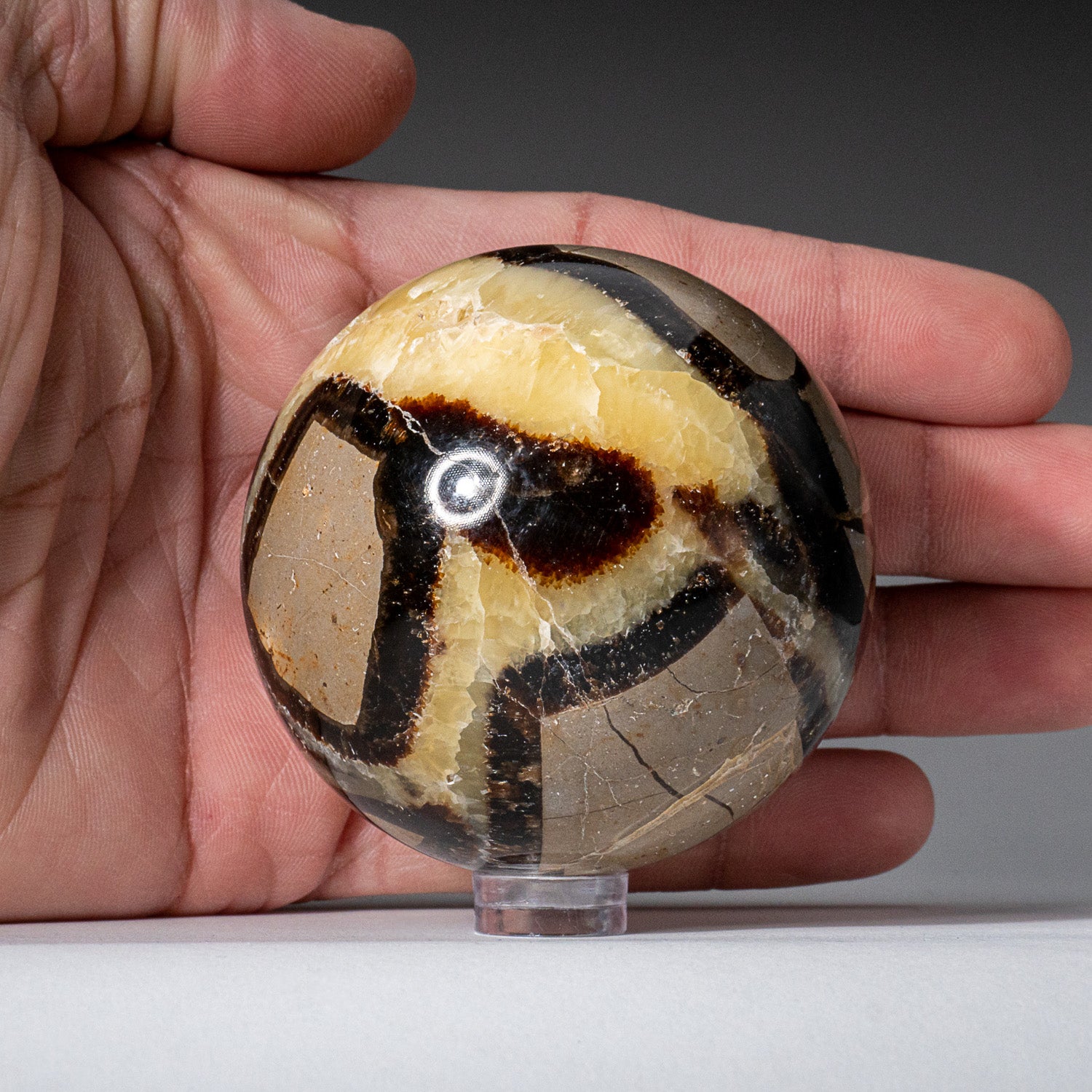 Genuine Polished Septarian (2") Sphere from Madagascar