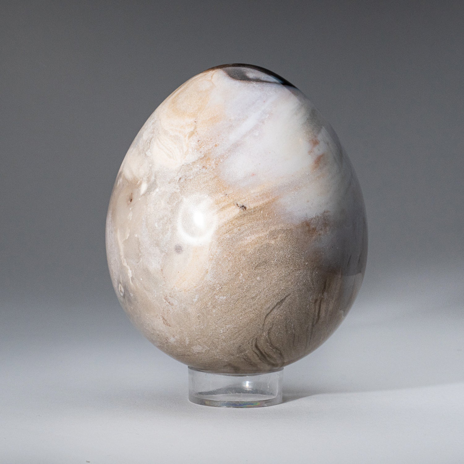 Polished Petrified Wood Egg from Madagascar (2.2 lbs)