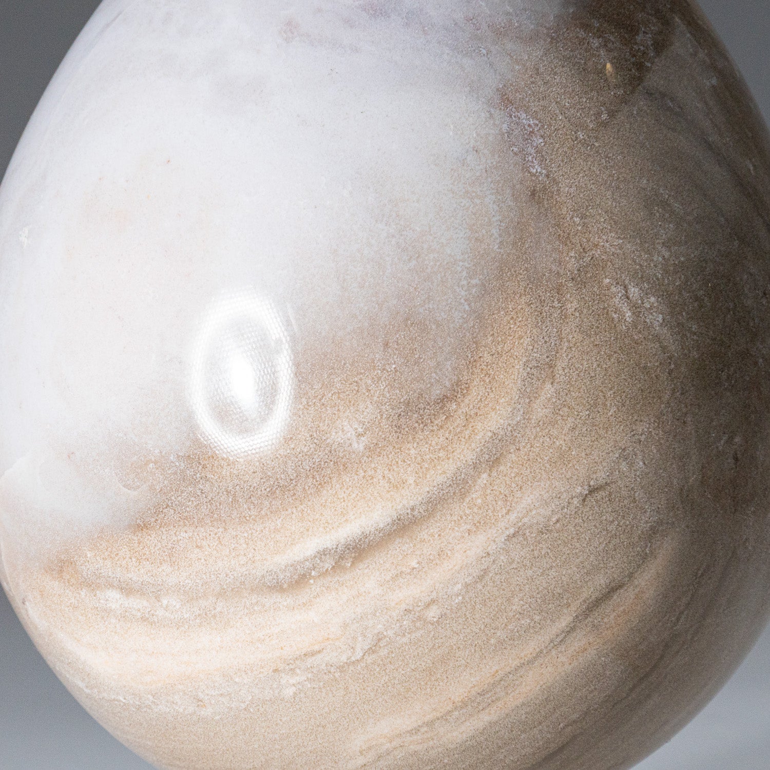 Polished Petrified Wood Egg from Madagascar (2.2 lbs)