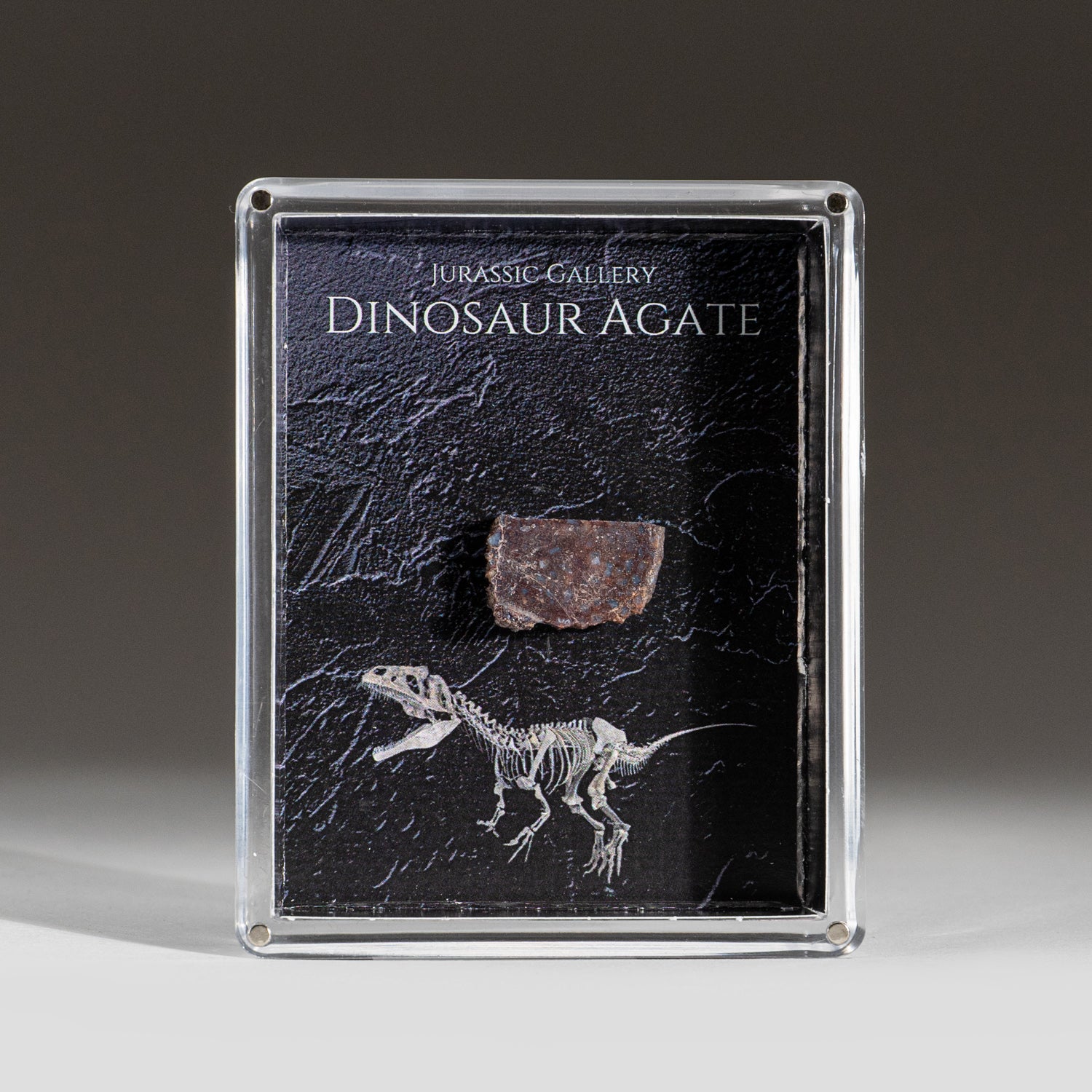 Genuine Dinosaur Agate Specimen in Acrylic Display Box