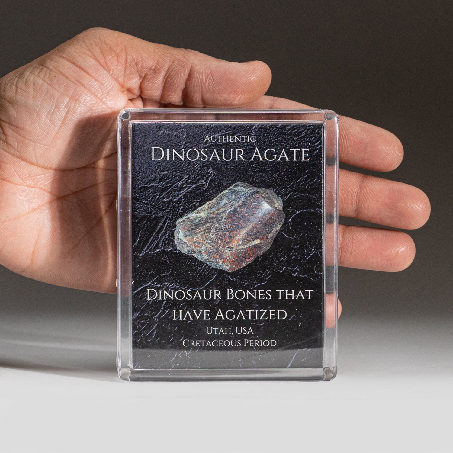 Genuine Dinosaur Agate Specimen in Acrylic Display Box