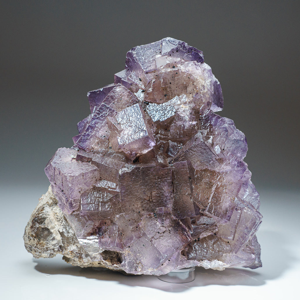 Purple Yellow Fluorite No. 1 for Sale at Trusted Astro Gallery of Gems