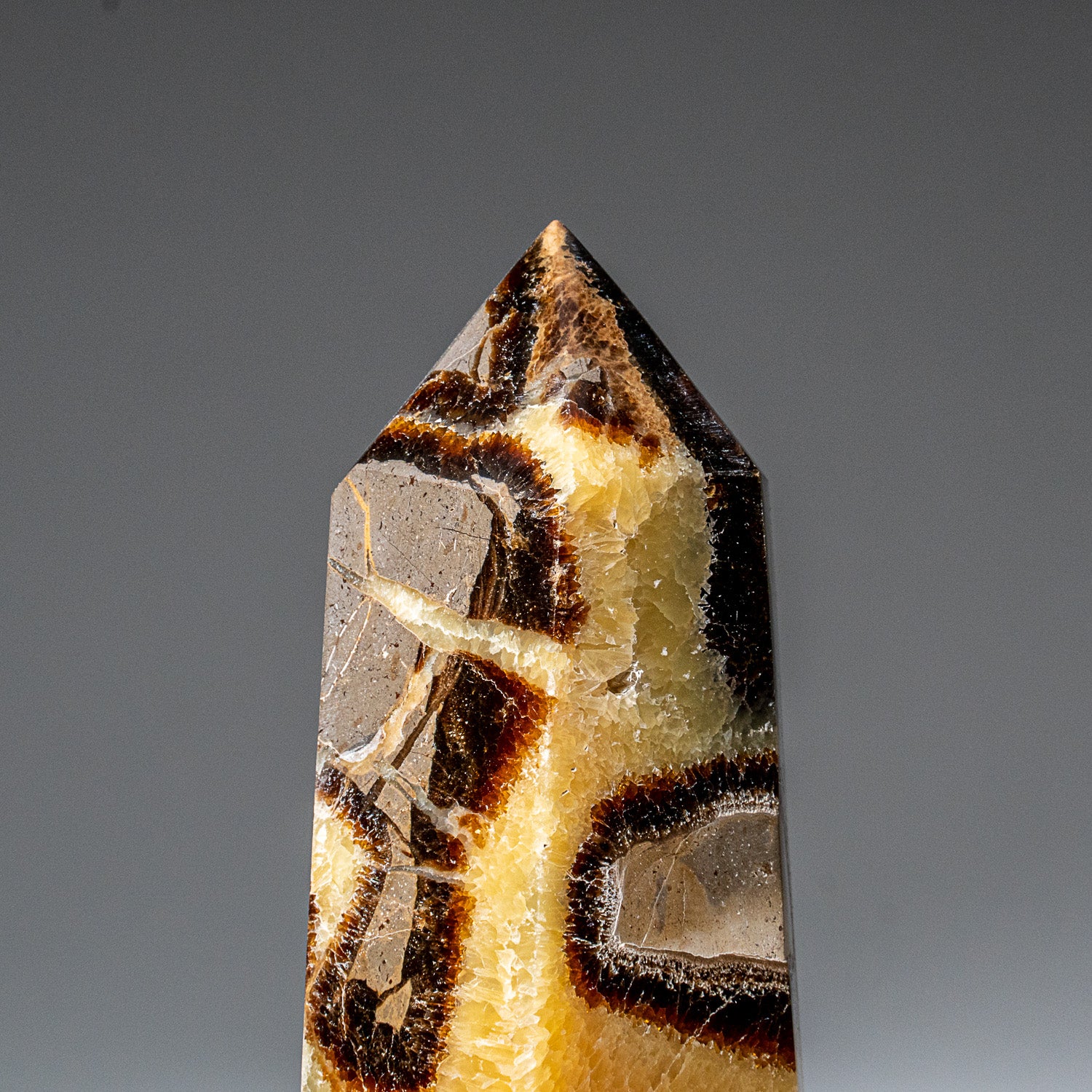 Genuine Polished Septarian Point from Madagascar (1.3 lbs)