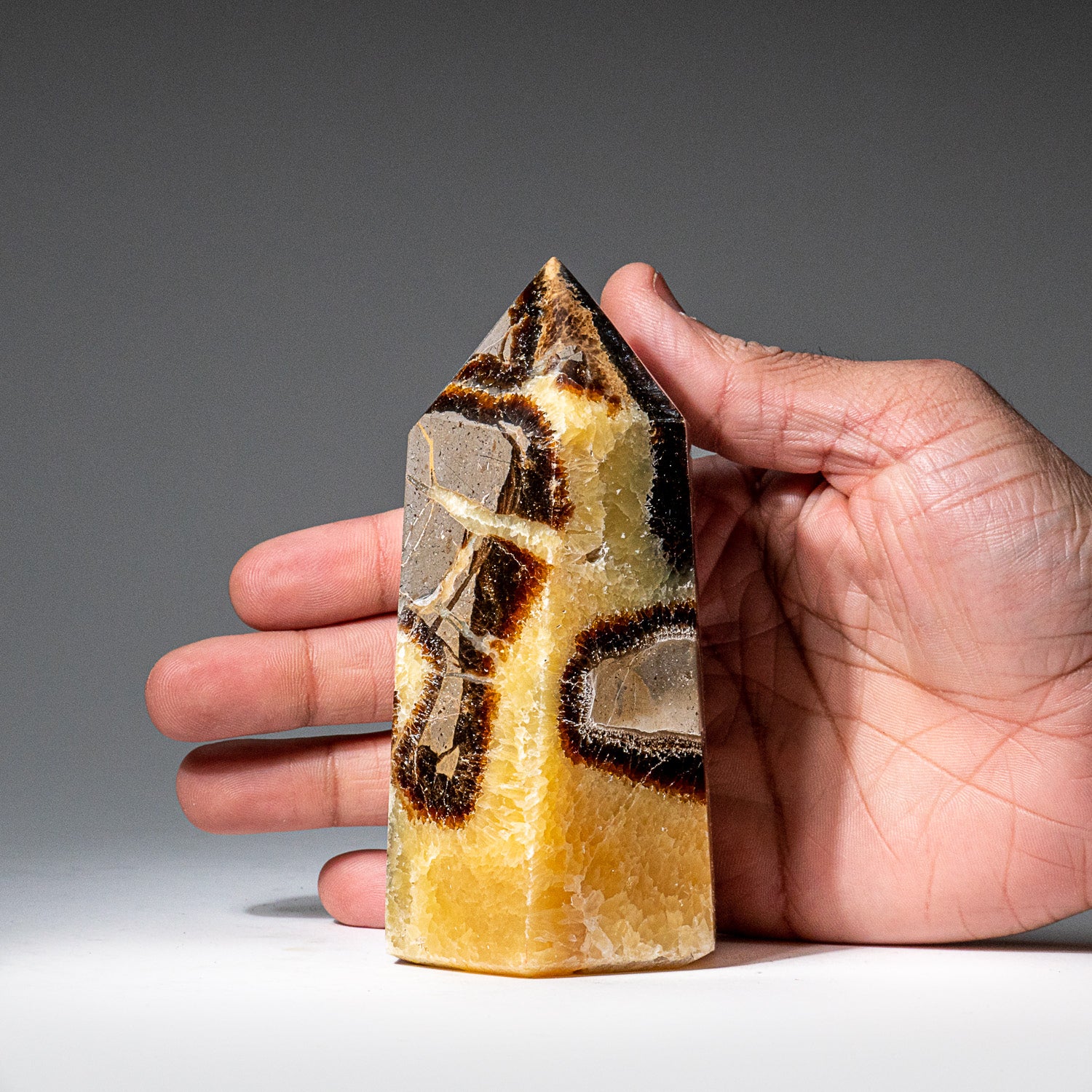 Genuine Polished Septarian Point from Madagascar (1.3 lbs)