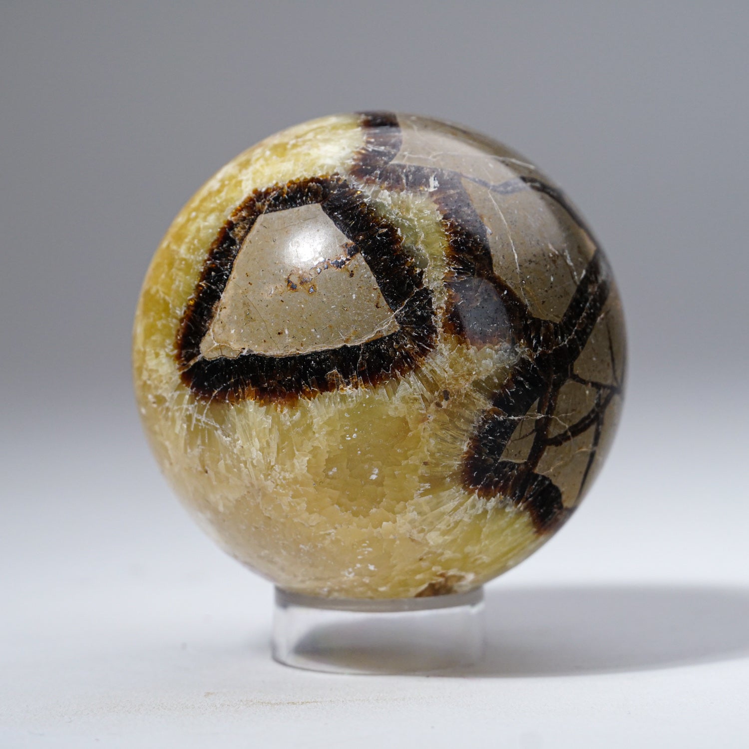 Polished Septarian Sphere from Madagascar (1.2 lbs)