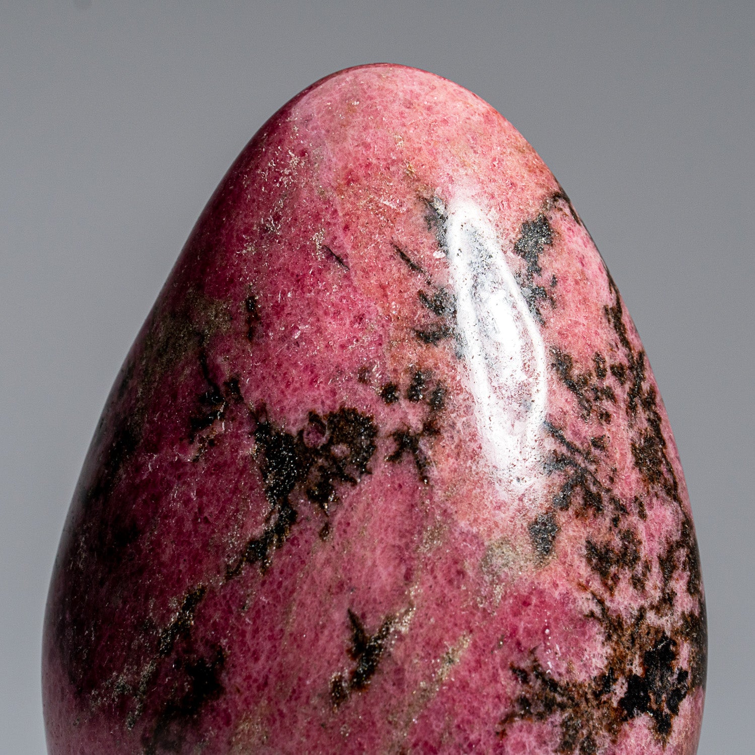 Polished Imperial Rhodonite Freeform from Madagascar (2.6 lbs)