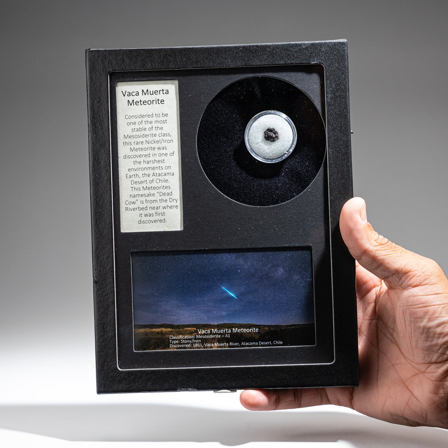 Genuine Vaca Muerta Meteorite in Glass Display Box