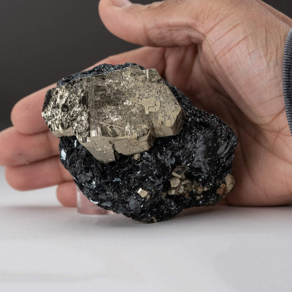 Pyrite on Hematite From Rio Marina, Elba Island, Livorno Province, Tuscany, Italy