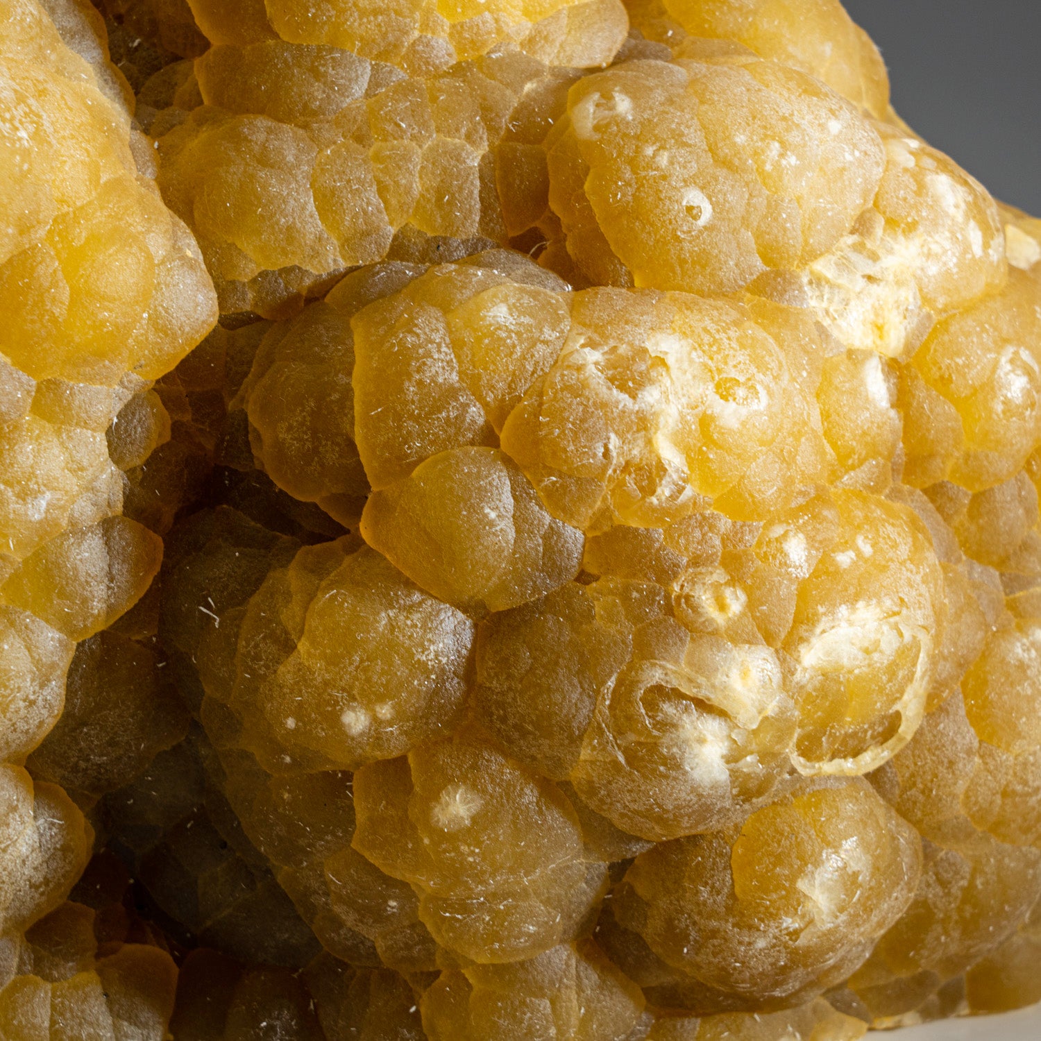 Botryoidal Form Image Buy Museum-grade Fluorite Rare Botryoidal Form | Astro Gallery of Gems