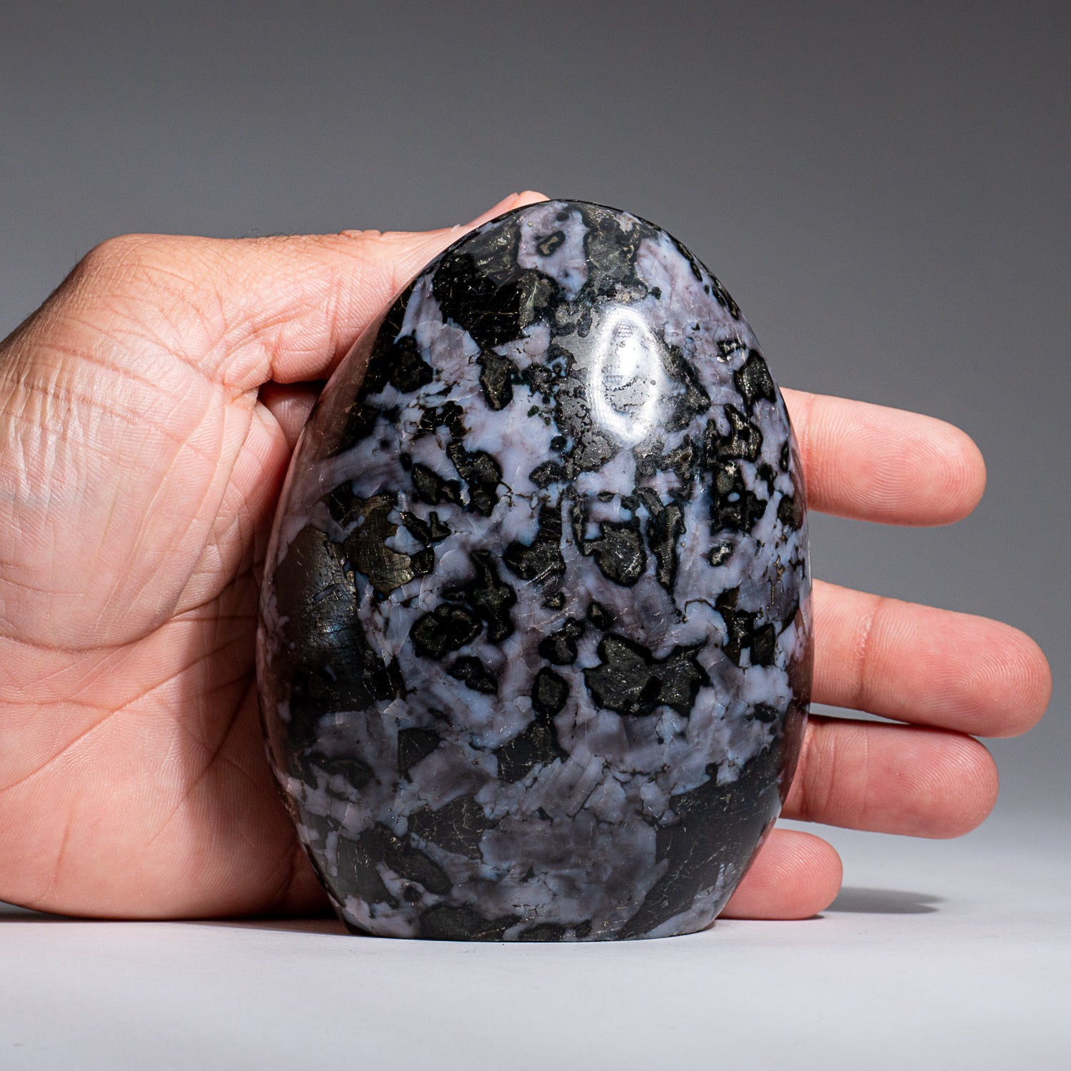 Gabbro Rocks Gabbro Rock