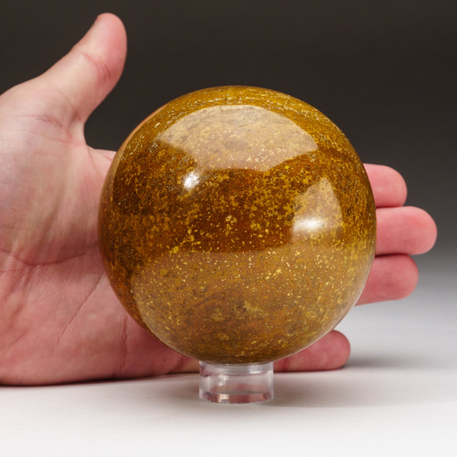 Genuine Polished Ocean Jasper Sphere (2.4 lbs)