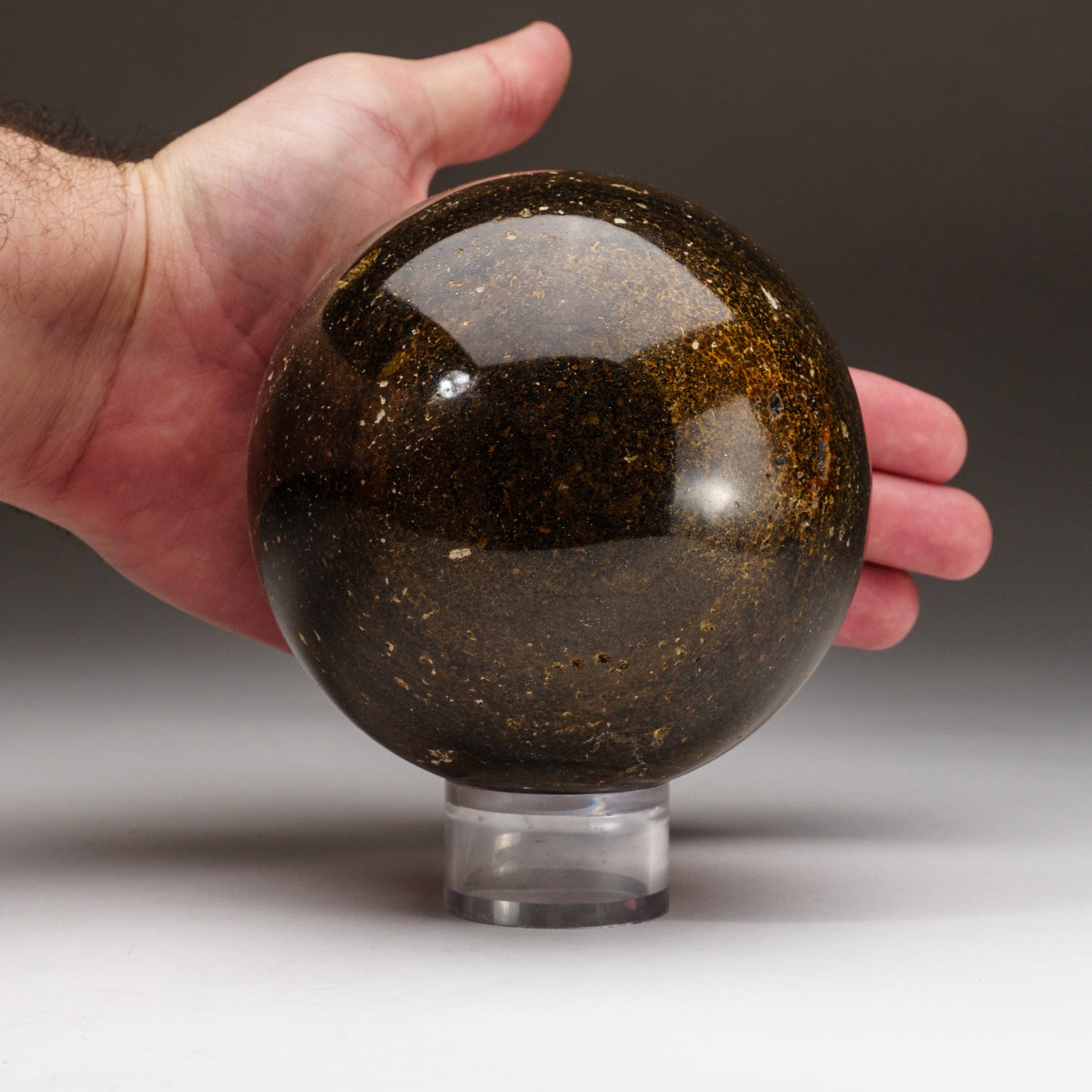 Genuine Polished Ocean Jasper Sphere (4.4 lbs)